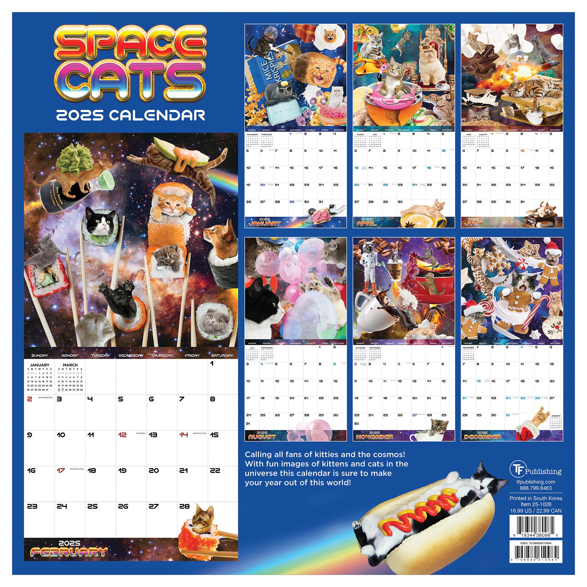 Space Cats Wall 2025 Calendar - Online Exclusive