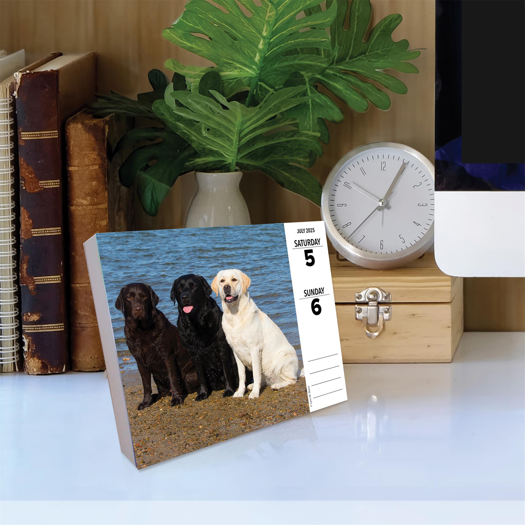 Just Labs Box 2025 Calendar - Online Exclusive