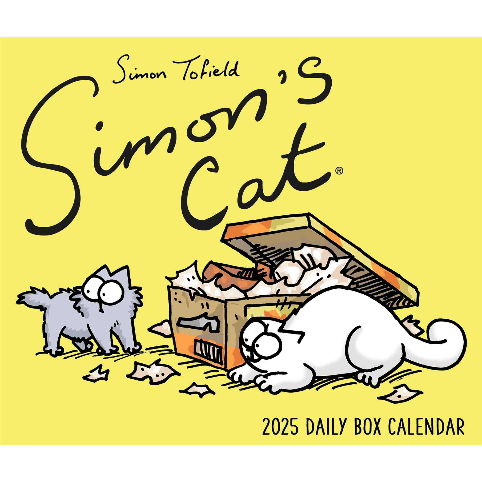 Simons Cat Box 2025 Calendar - Online Exclusive