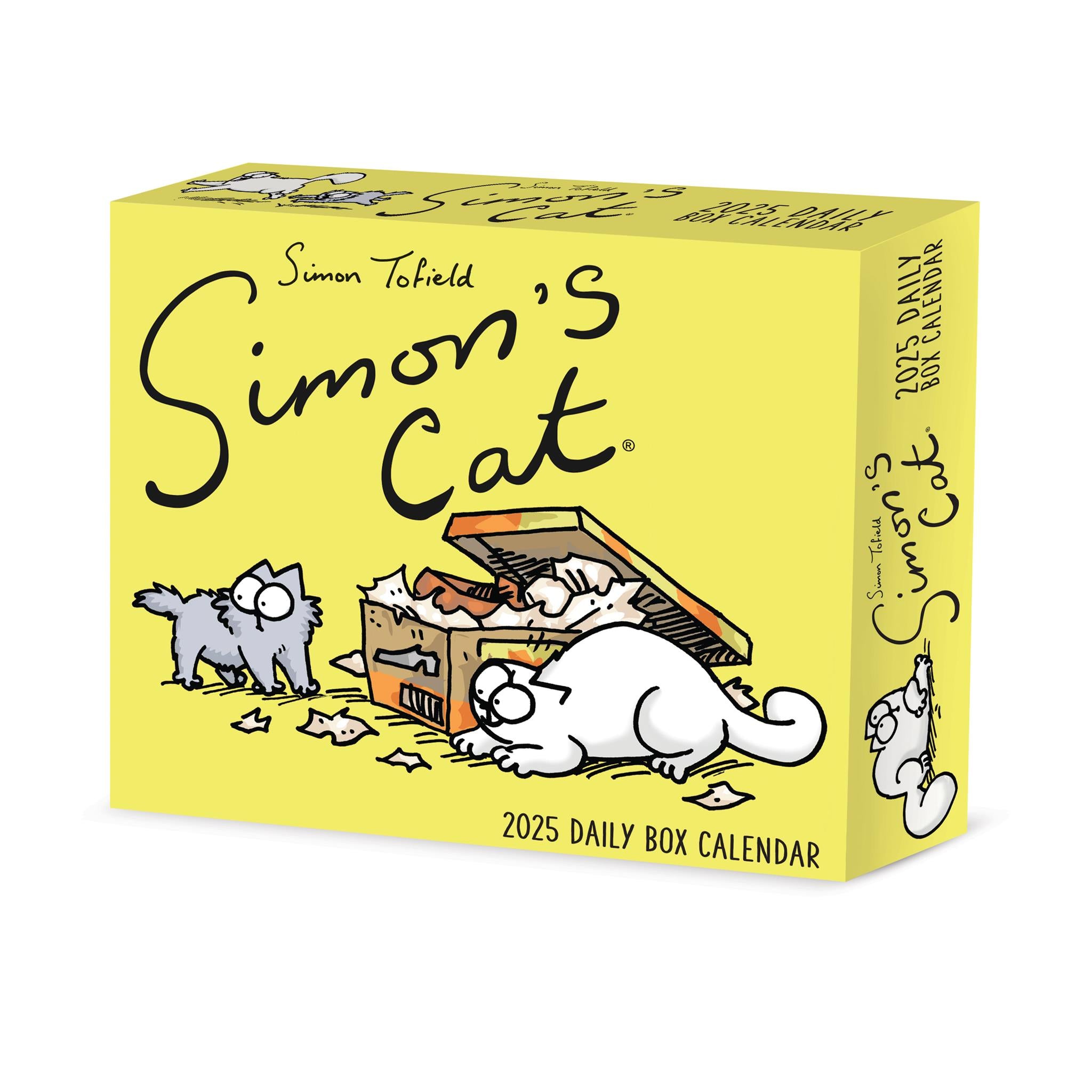 Simons Cat Box 2025 Calendar - Online Exclusive