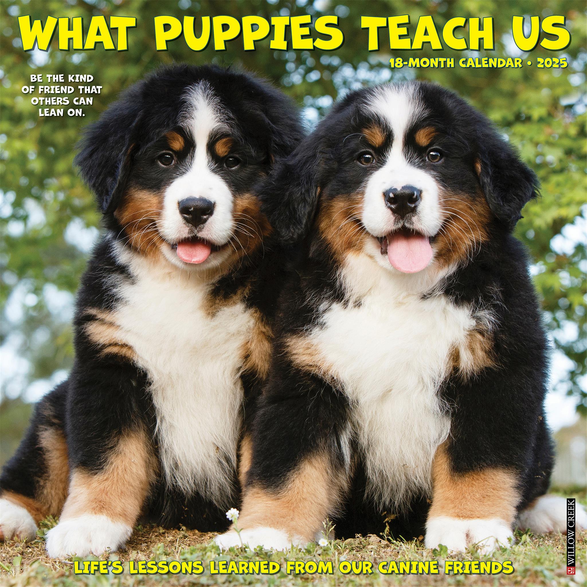 What Puppies Teach Us Wall 2025 Calendar