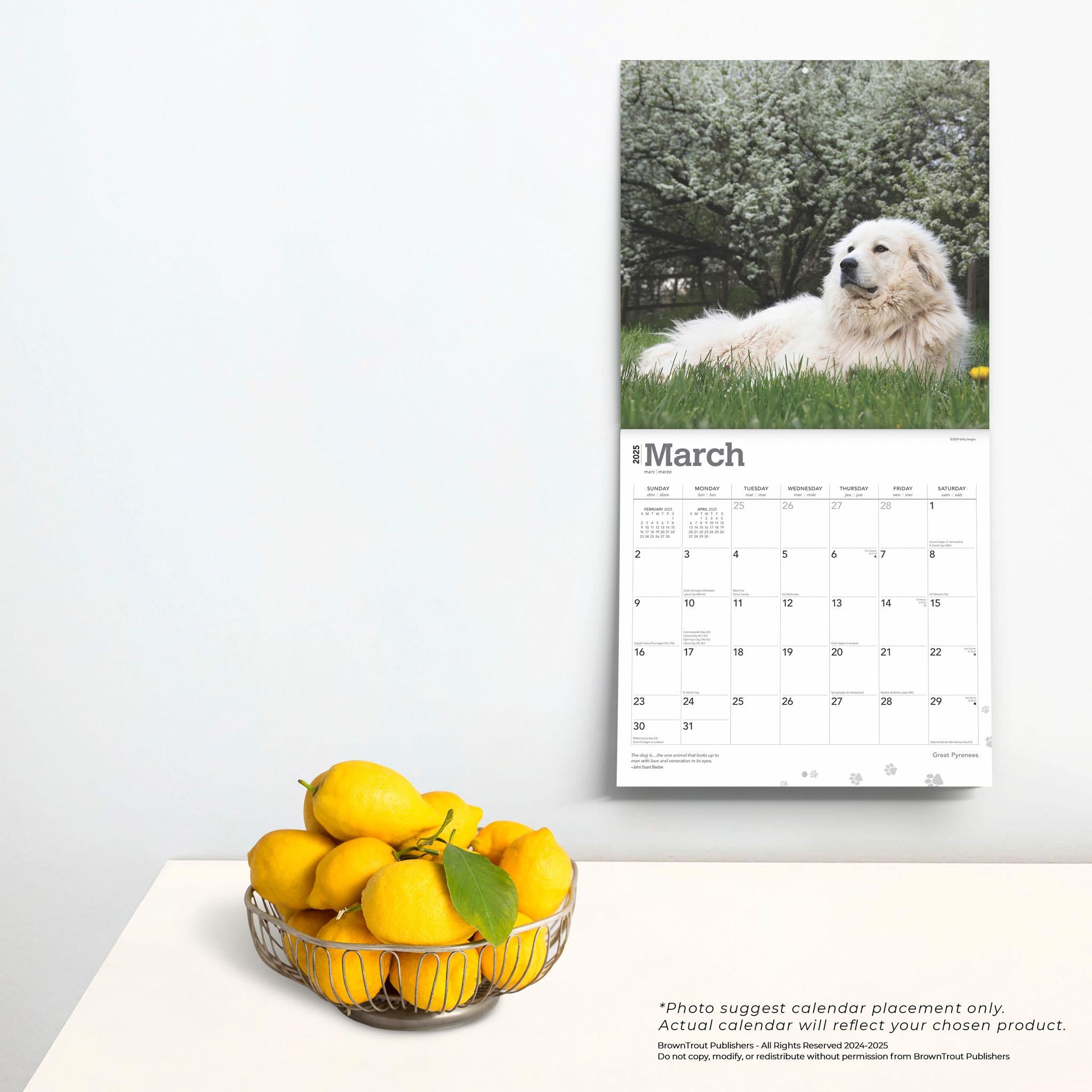 Great Pyrenees Wall 2025 Calendar