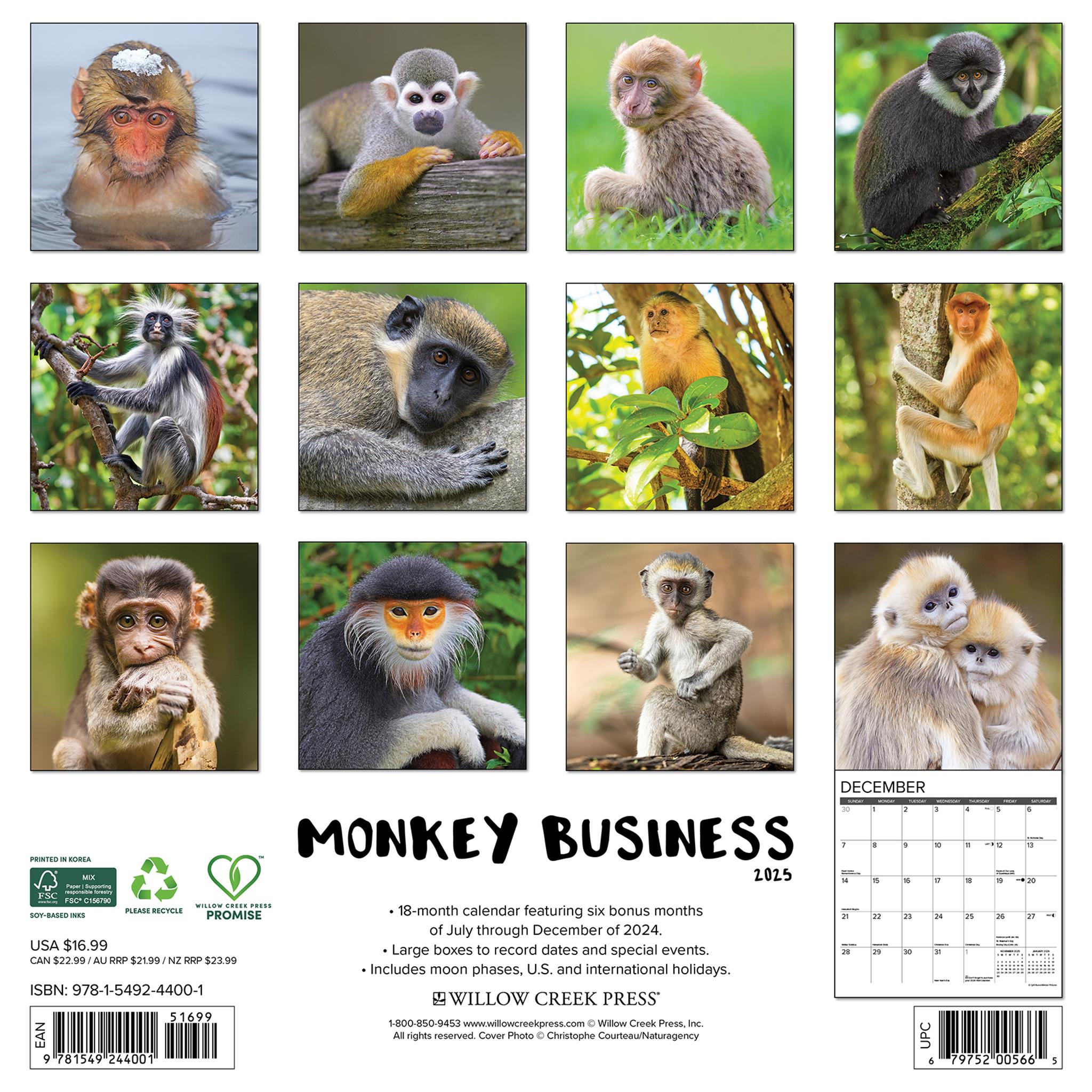 Monkey Business Wall 2025 Calendar - Online Exclusive