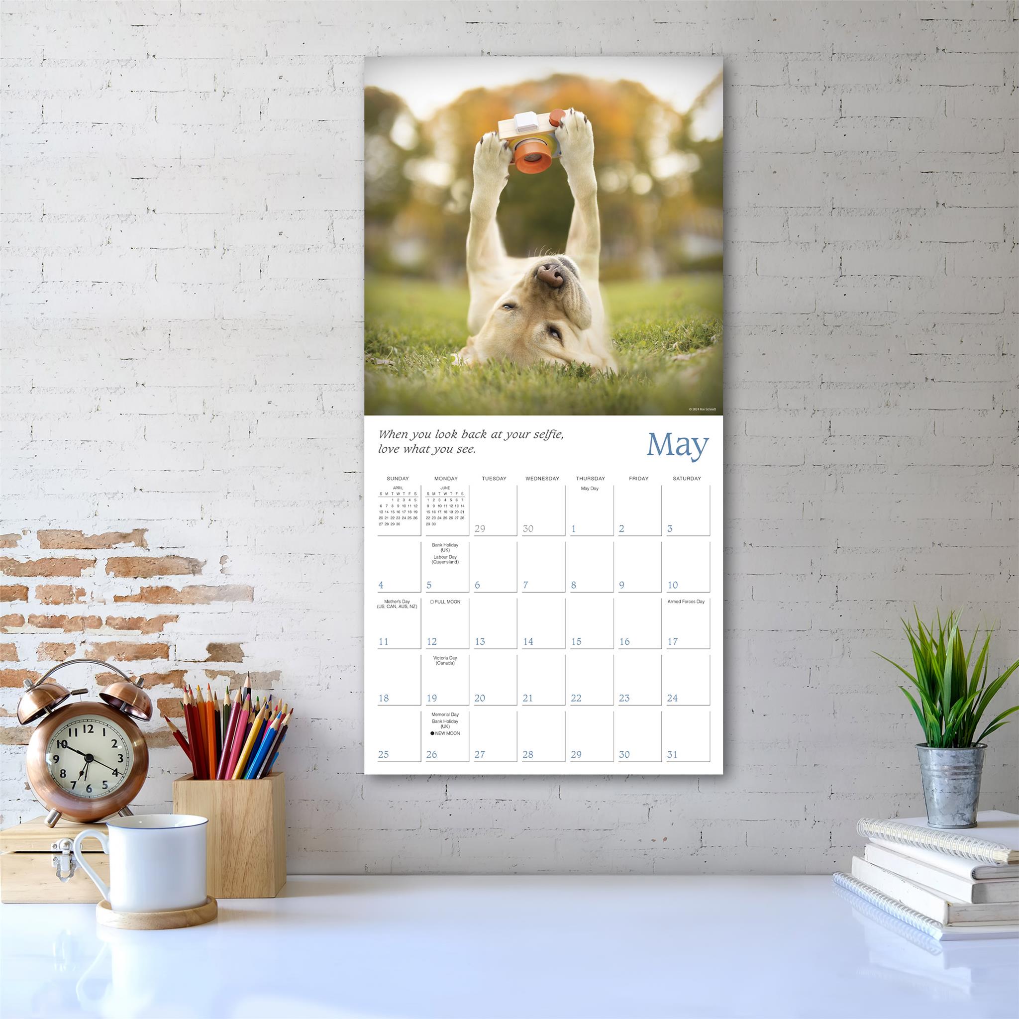 Dogma Wall 2025 Calendar