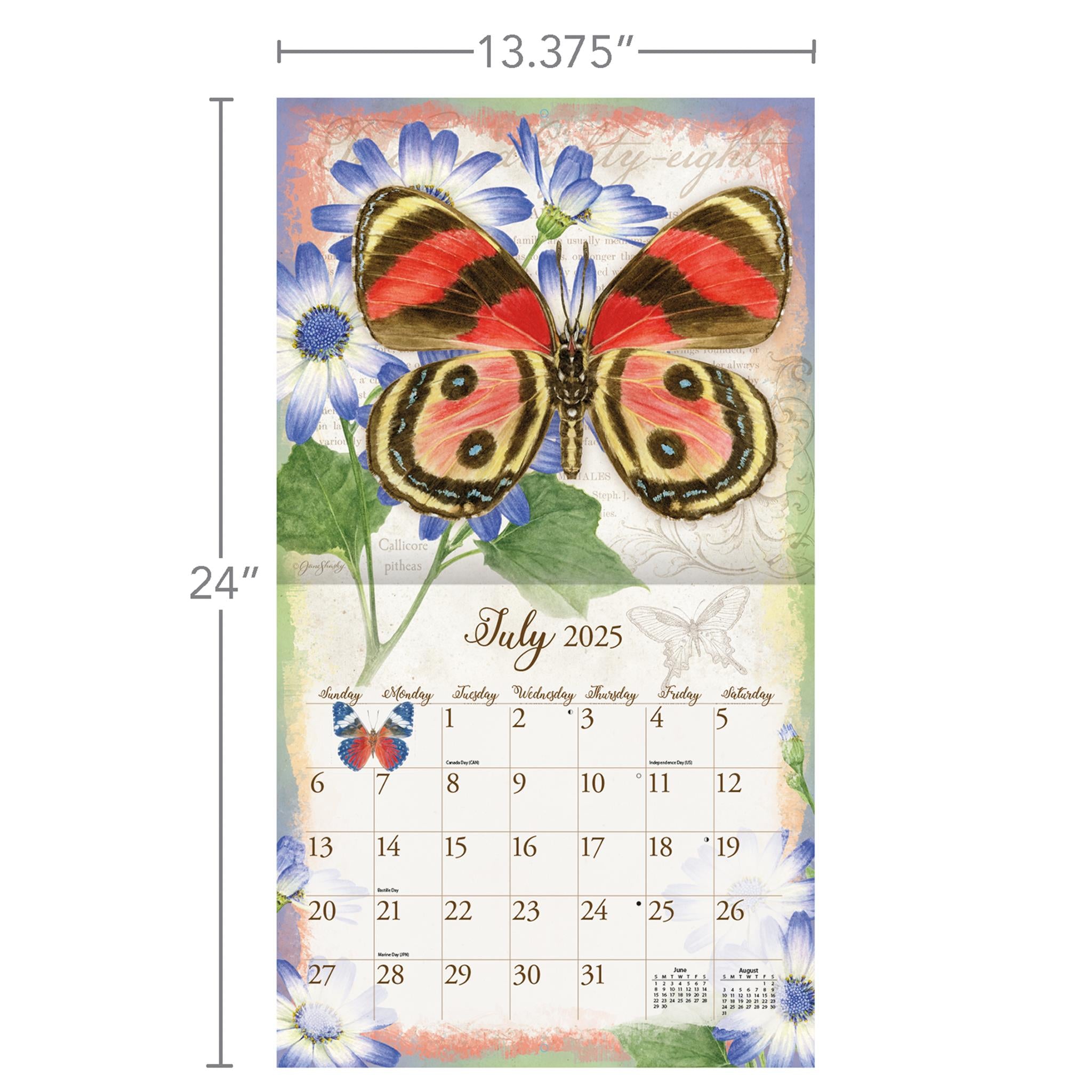 Butterflies Wall 2025 Calendar - Online Exclusive