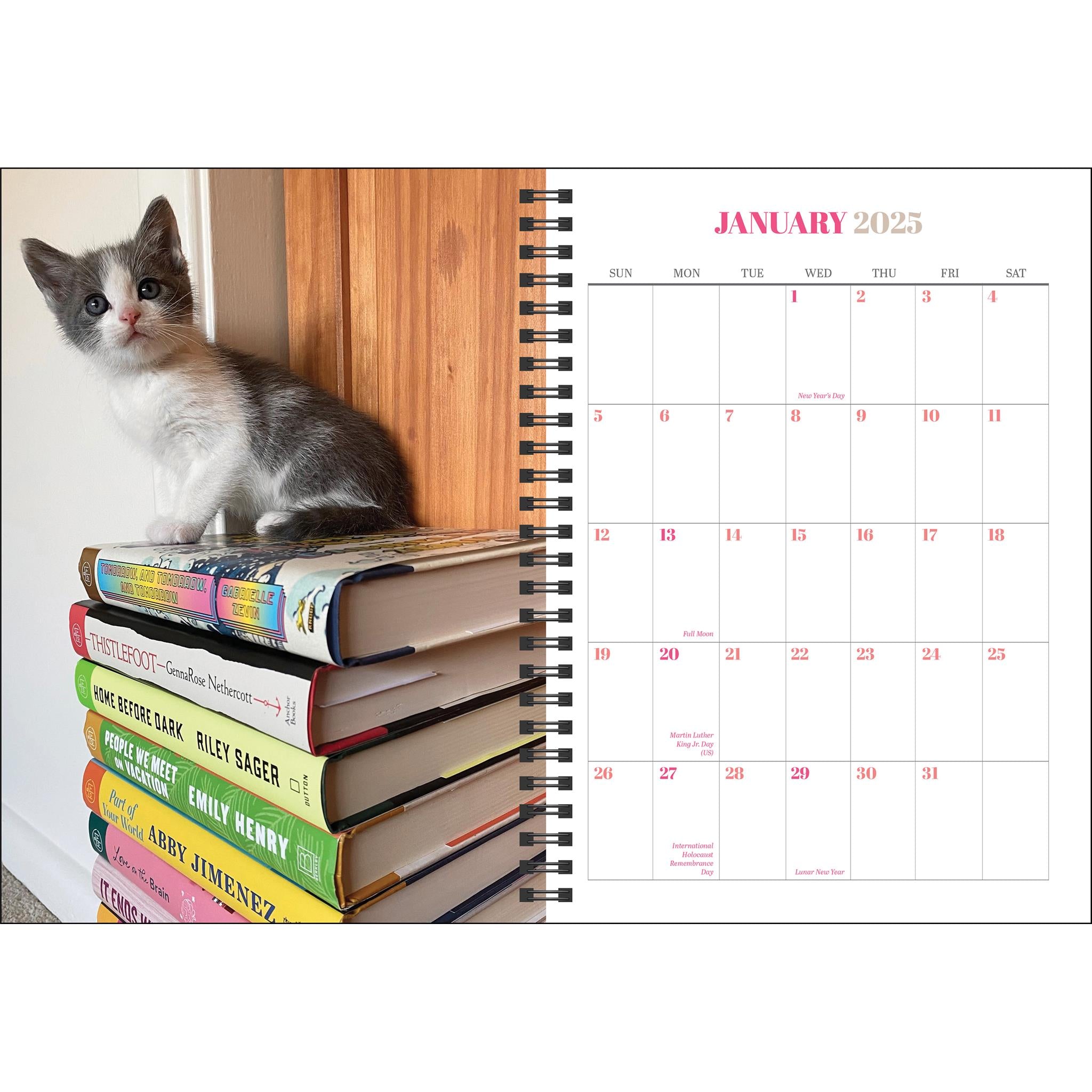 Cats And Books Engagement 2025 Calendar - Online Exclusive