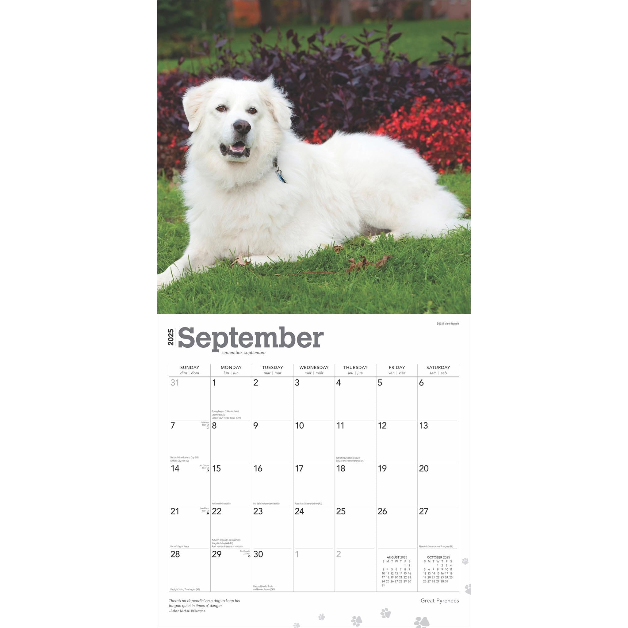 Great Pyrenees Wall 2025 Calendar