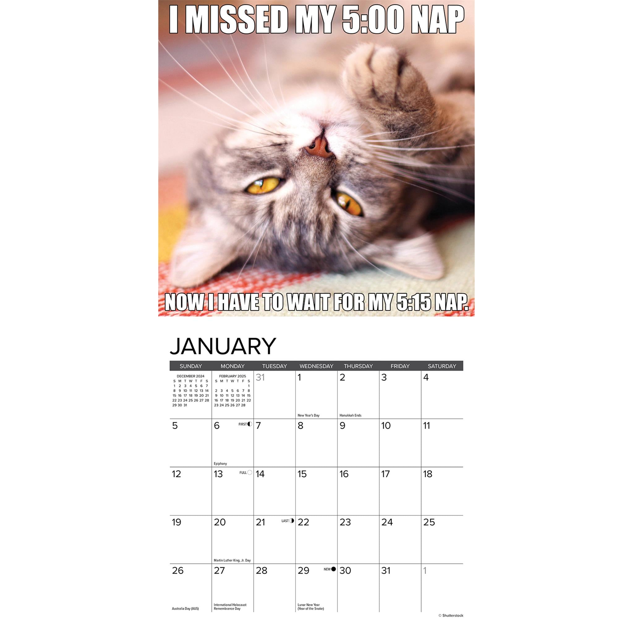 Catastrophe Mini 2025 Calendar