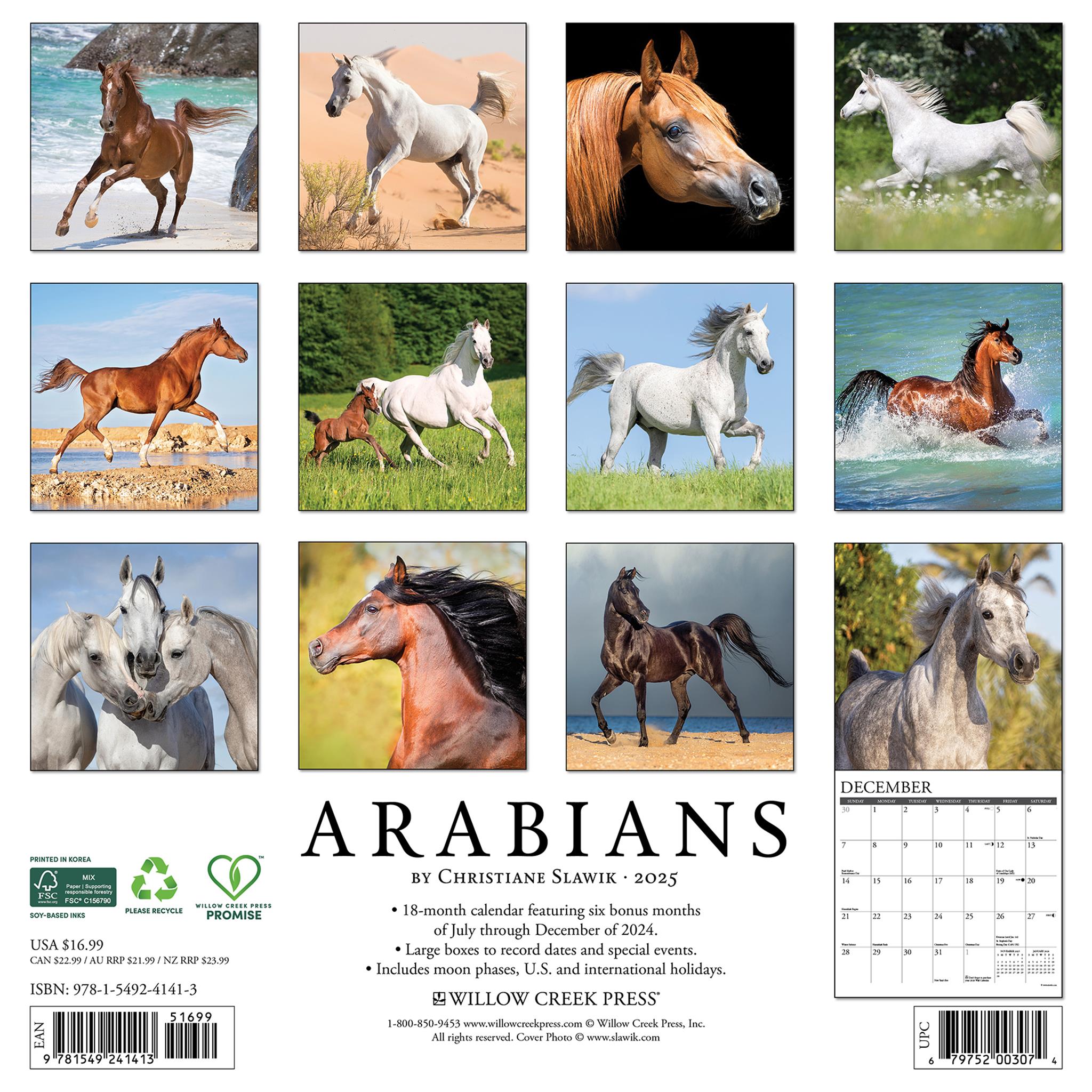 Arabians Wall 2025 Calendar - Online Exclusive