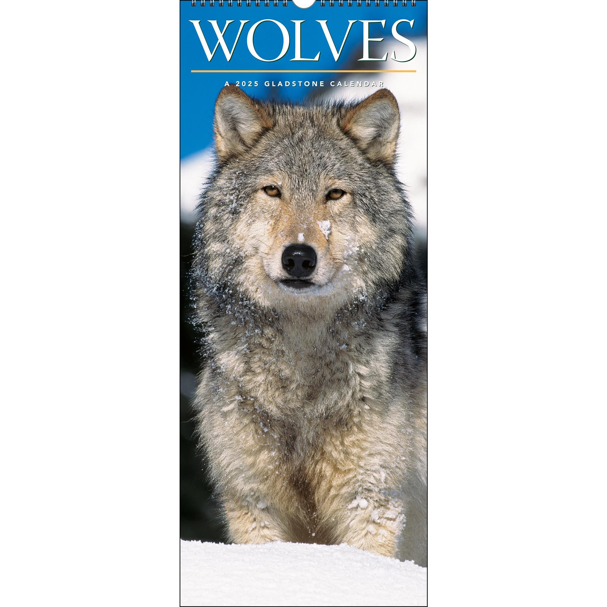 Wolves Poster 2025 Calendar