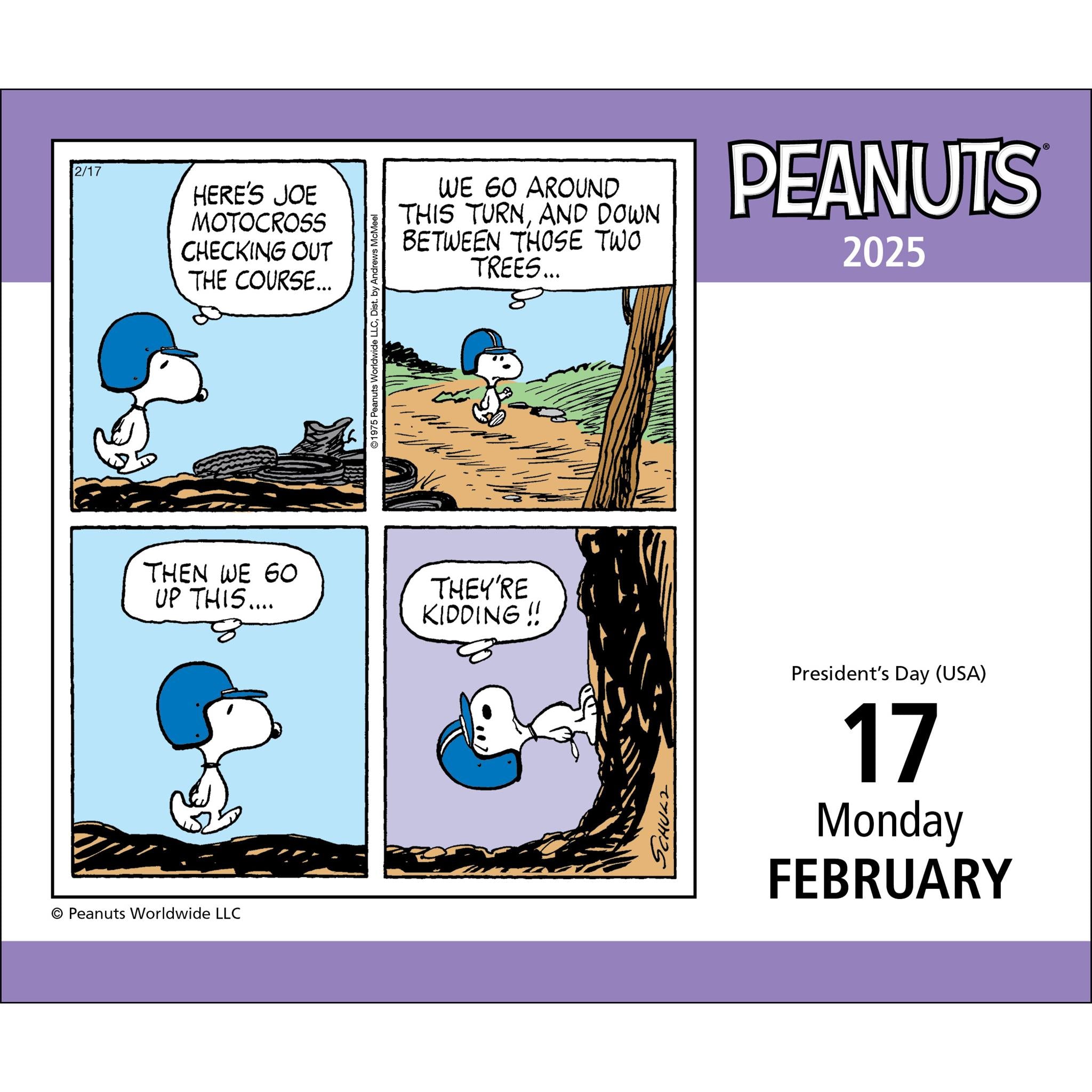 Peanuts Box 2025 Calendar