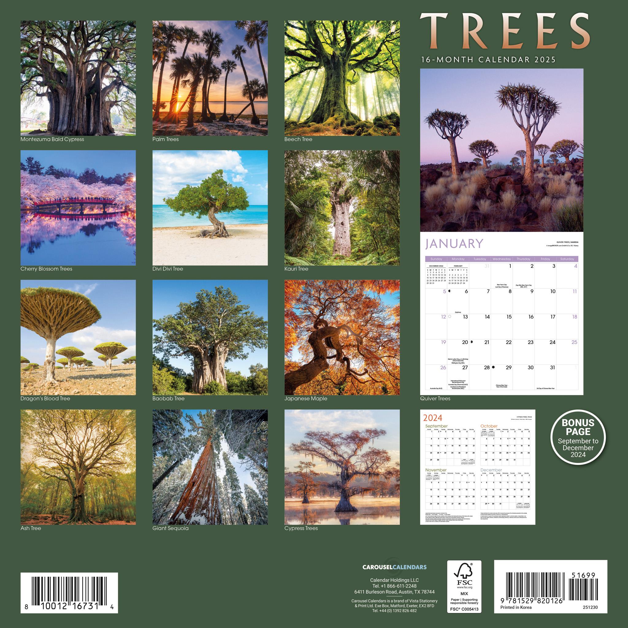 Trees Wall 2025 Calendar