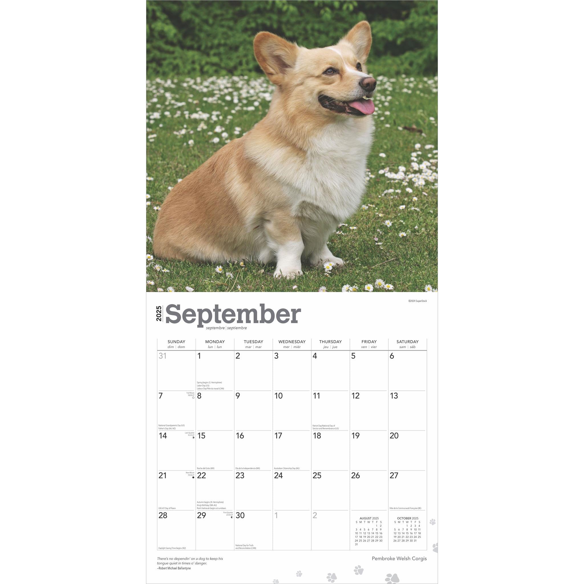 Welsh Corgis Pembroke Wall 2025 Calendar - Online Exclusive