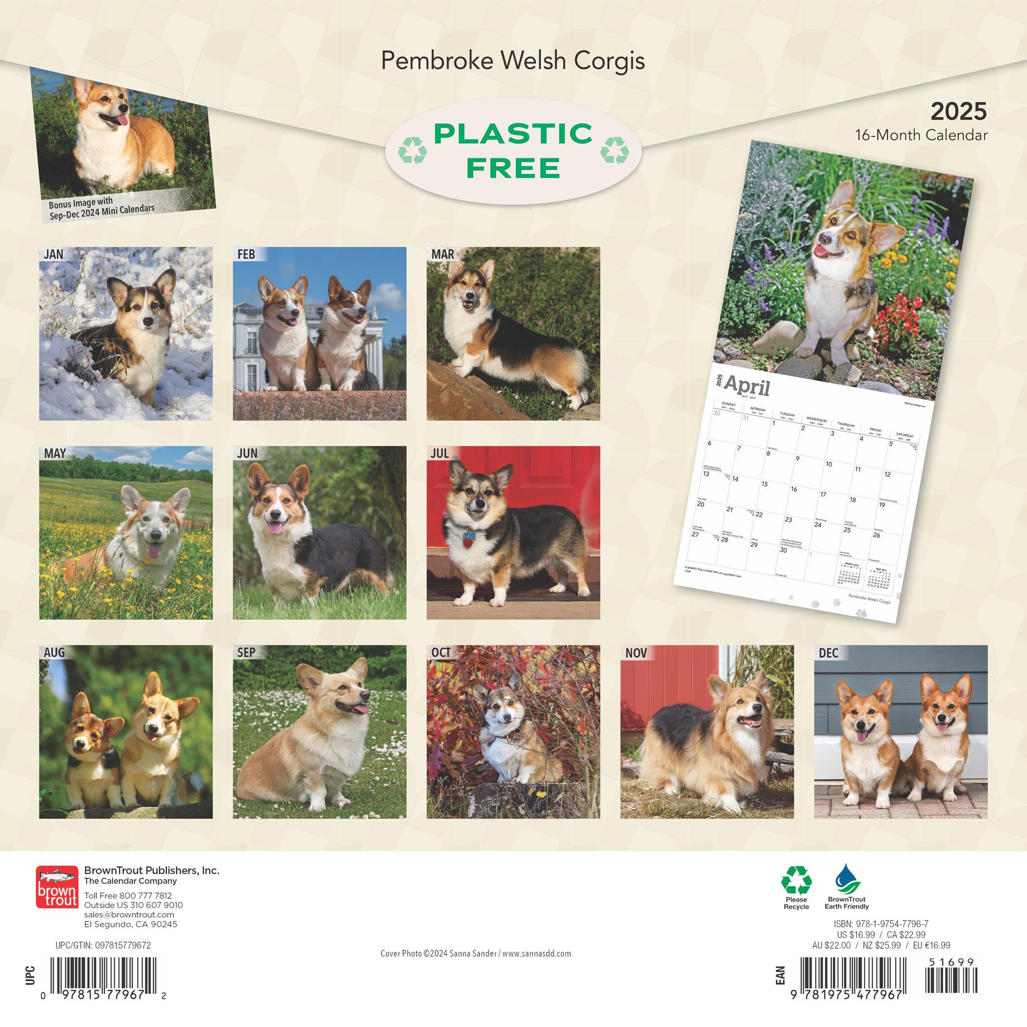 Welsh Corgis Pembroke Wall 2025 Calendar - Online Exclusive