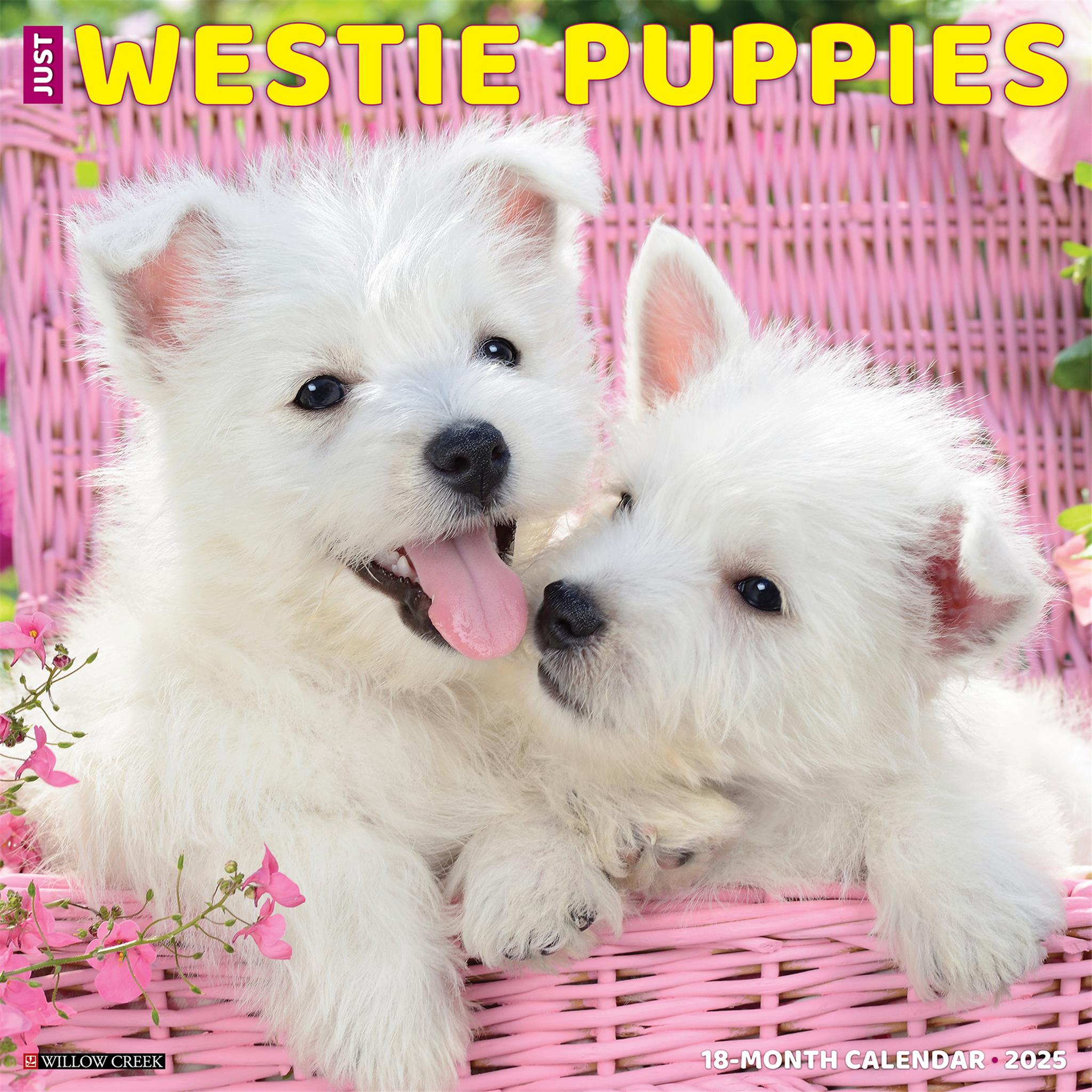 Westie Puppies Wall 2025 Calendar - Online Exclusive