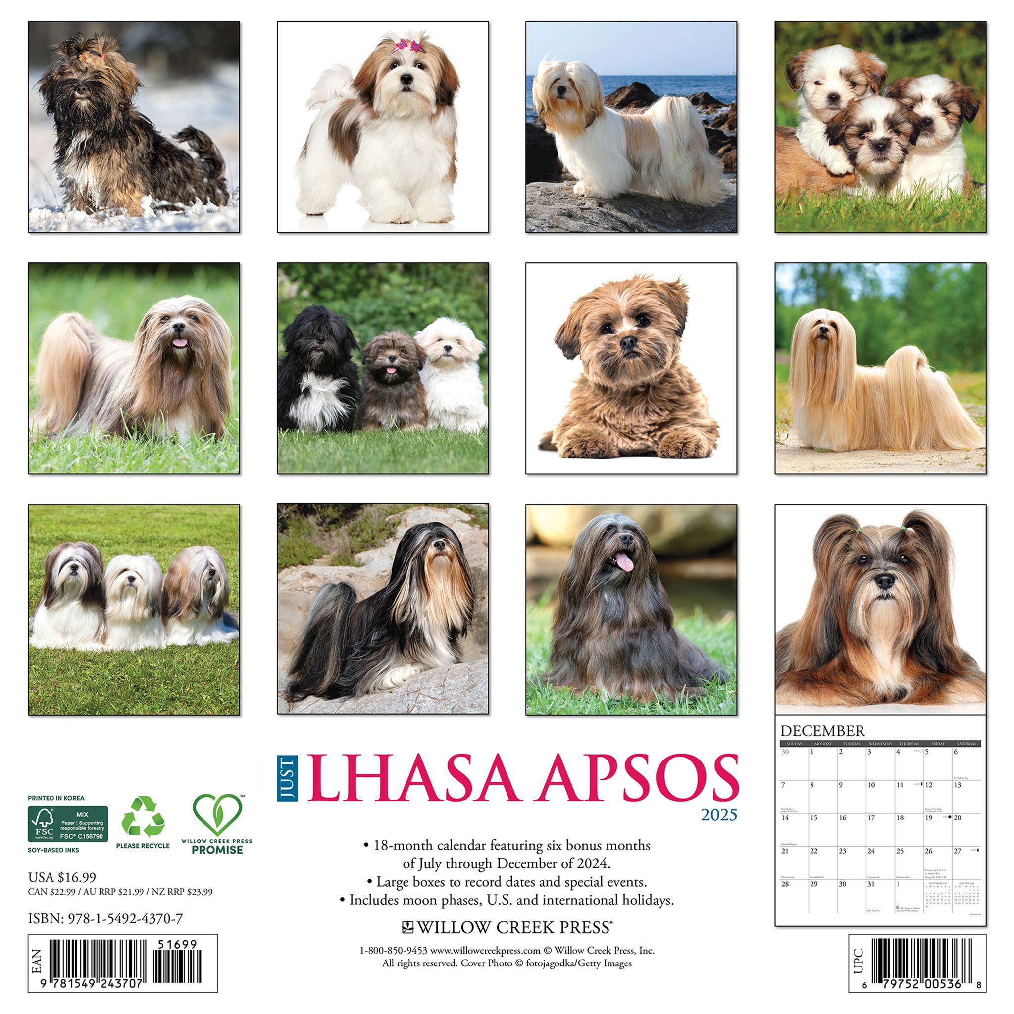 Just Lhasa Apsos Wall 2025 Calendar - Online Exclusive