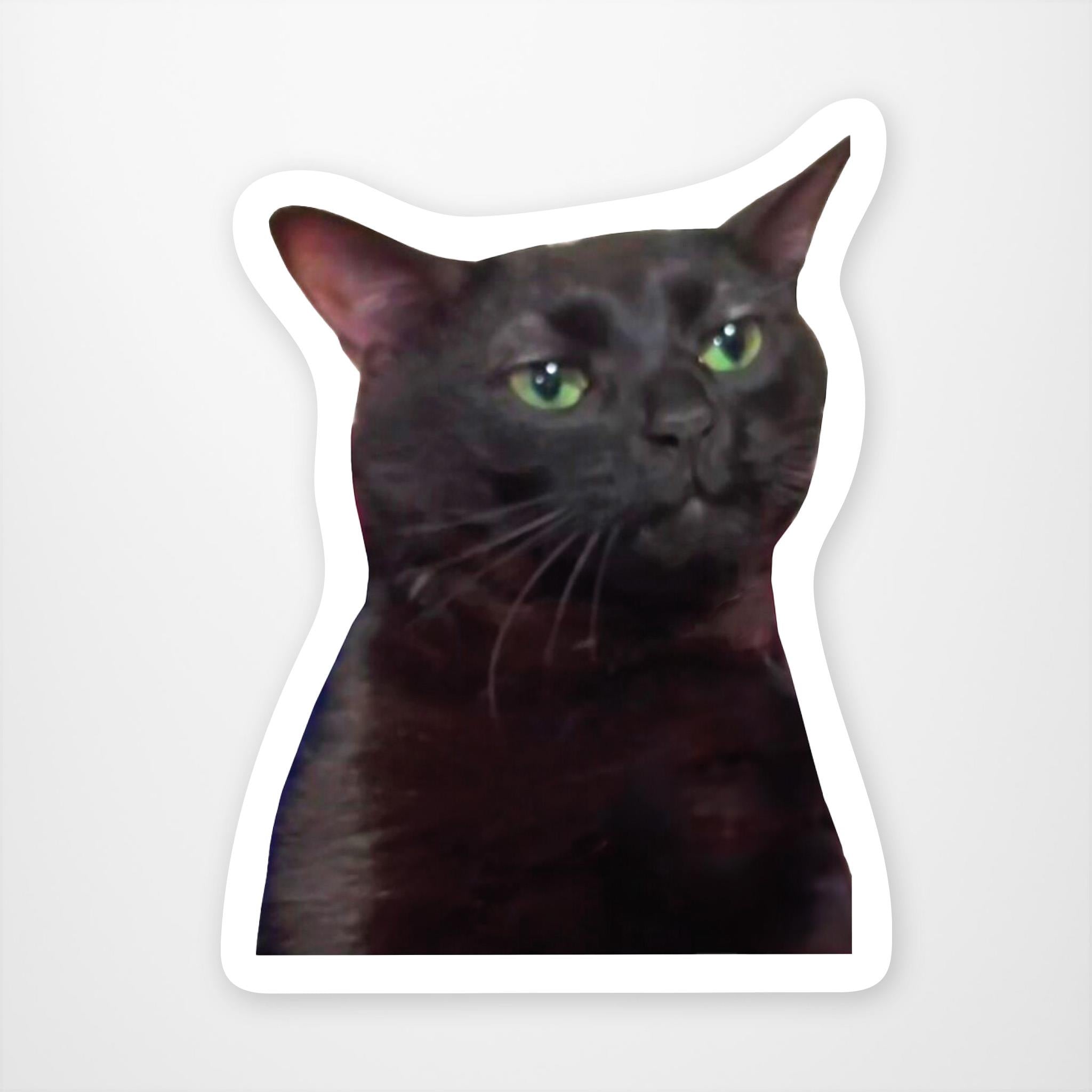 Zoned Out Cat  Vinyl Sticker