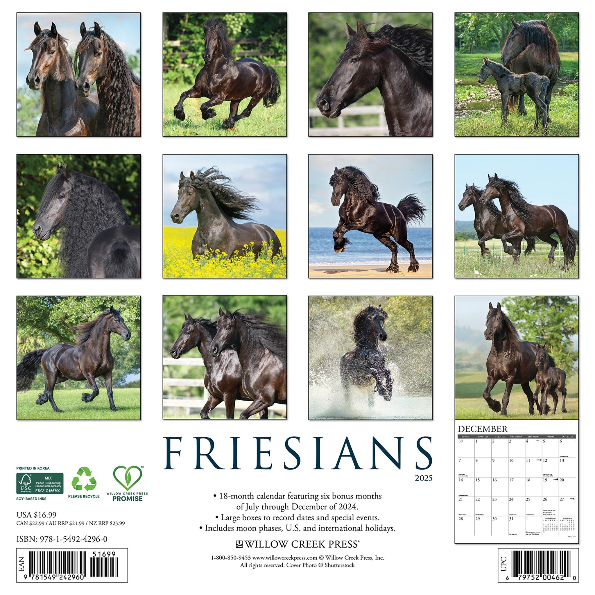 Friesians Wall 2025 Calendar - Online Exclusive