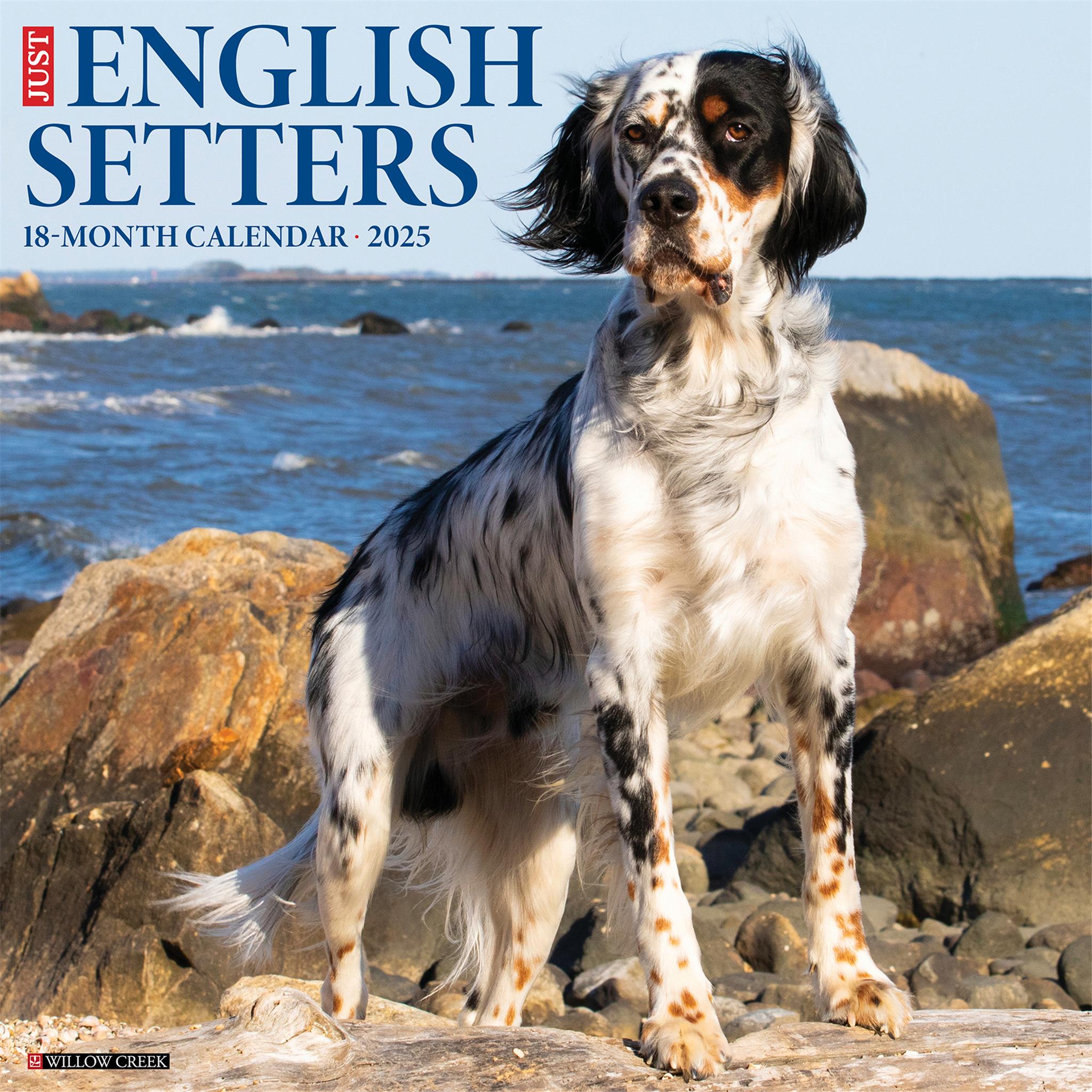 Just English Setters Wall 2025 Calendar