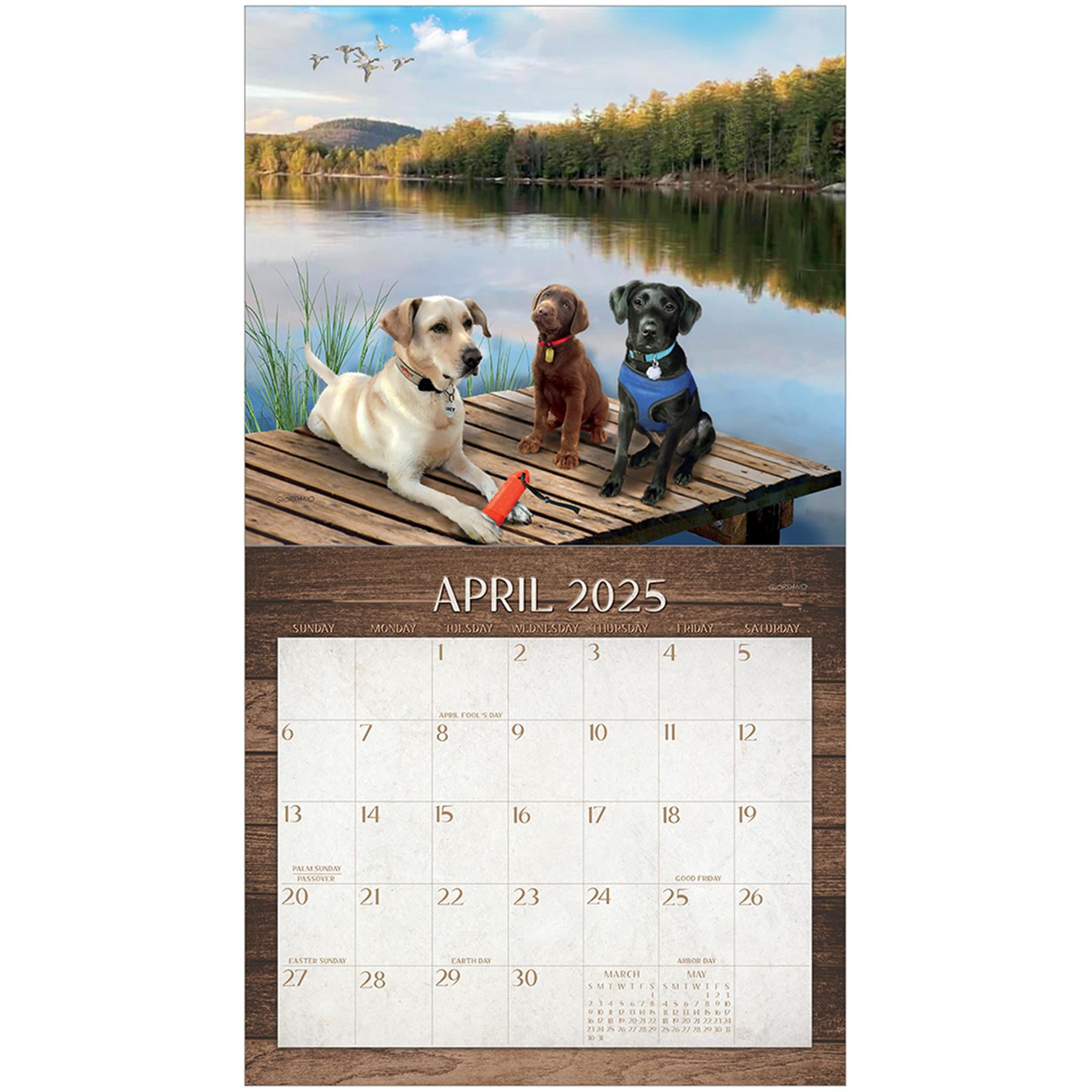 Labradors Wall 2025 Calendar - Online Exclusive