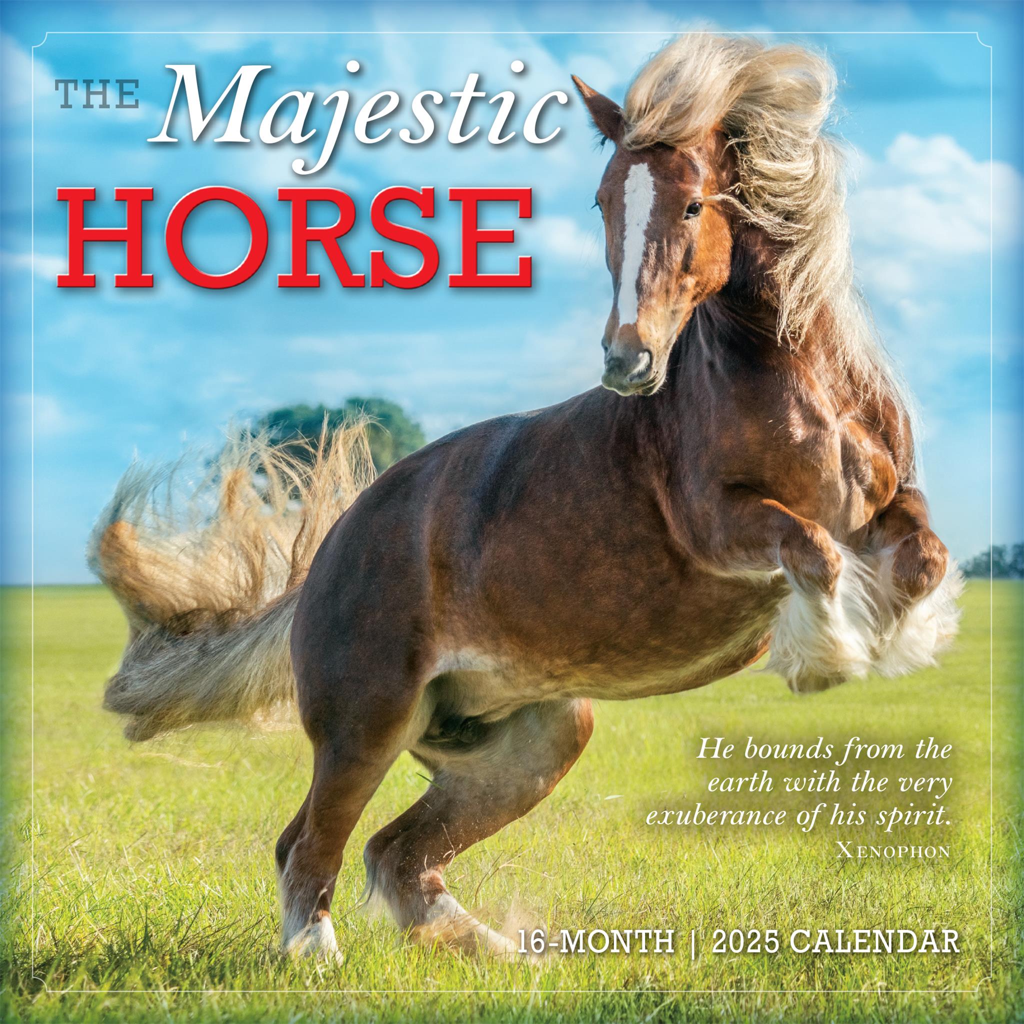 Majestic Horse Wall 2025 Calendar - Online Exclusive