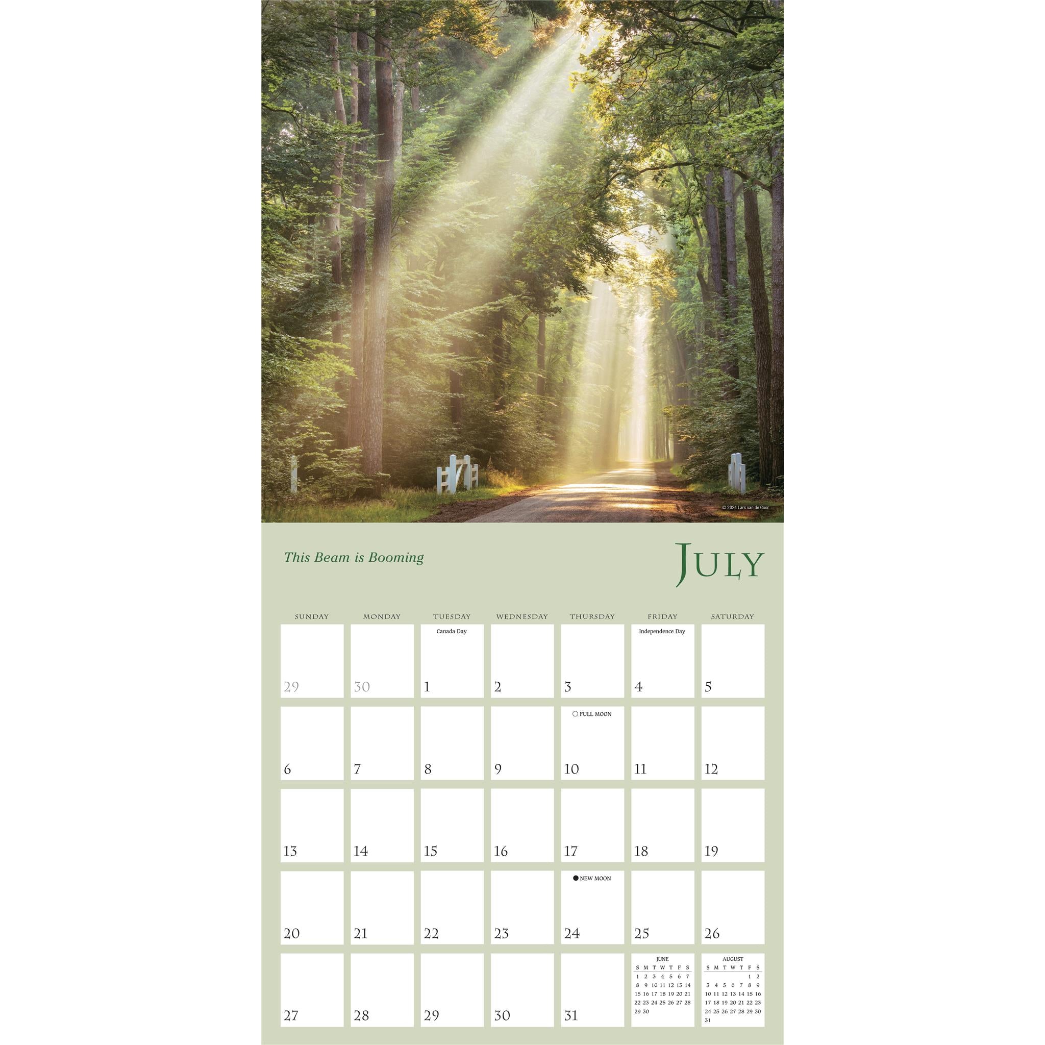 Enchanted Pathways Wall 2025 Calendar