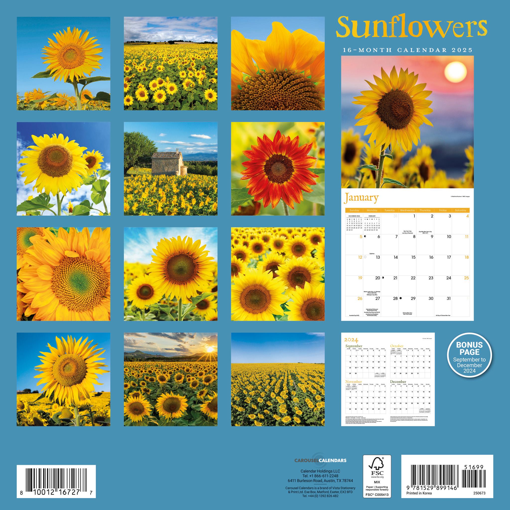 Sunflowers Wall 2025 Calendar