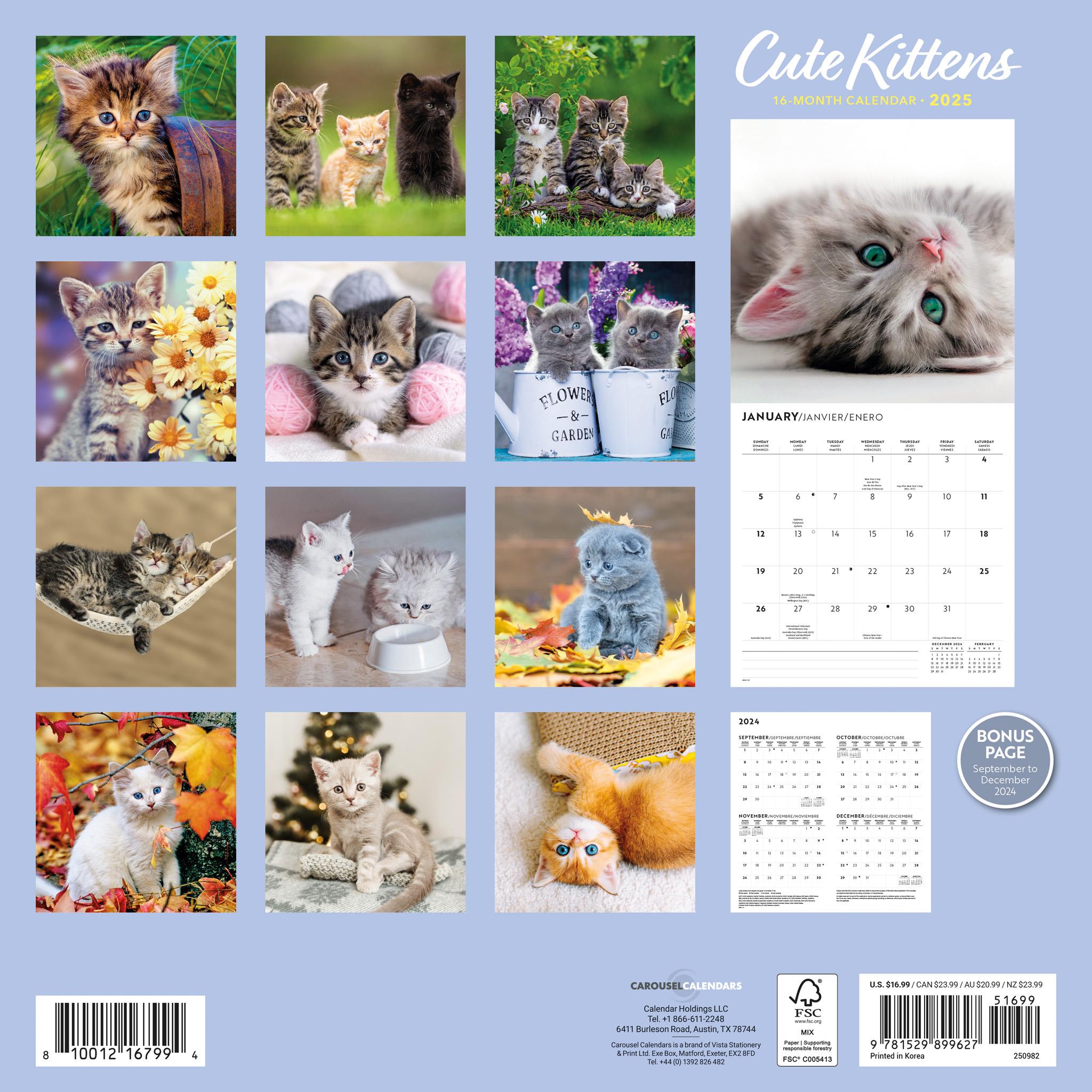 Kittens Cute Wall 2025 Calendar