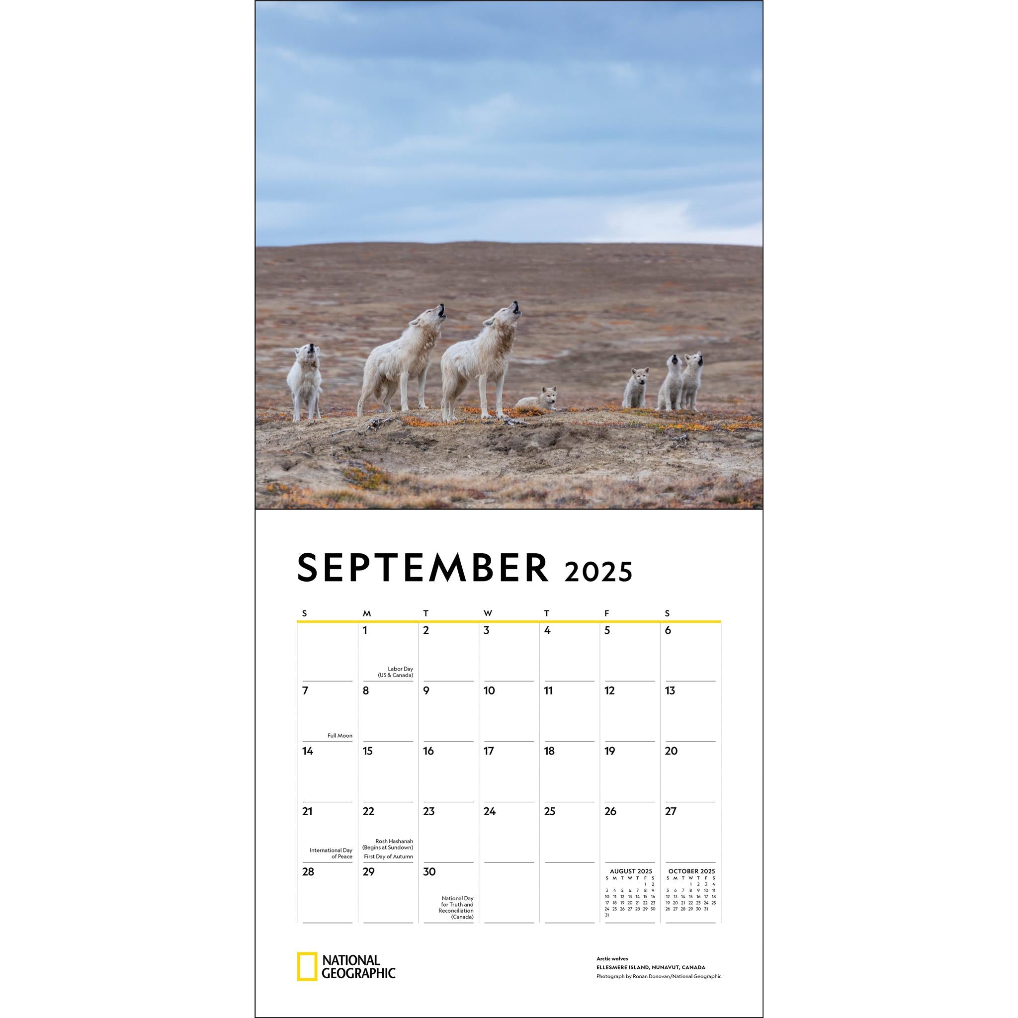 Wolves National Geographic Wall 2025 Calendar