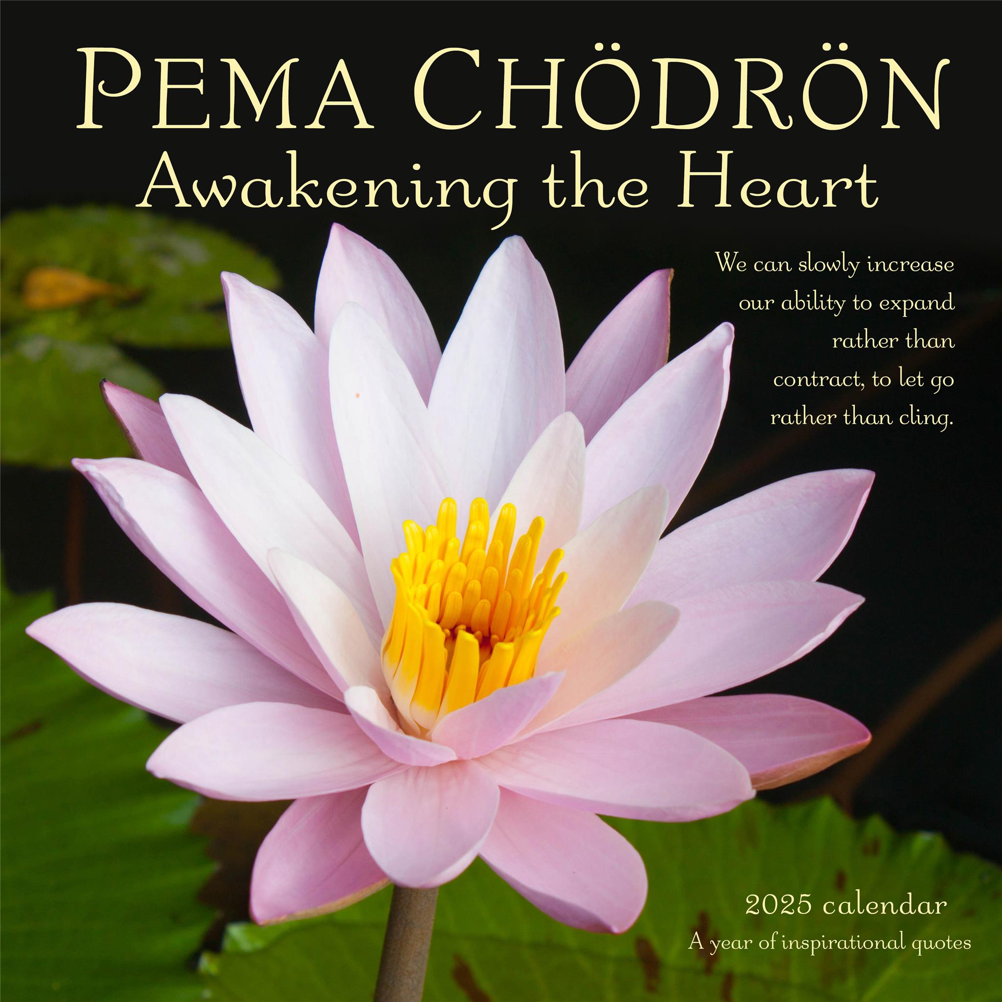 Pema Chodron Awakening The Heart Wall 2025 Calendar - Online Exclusive