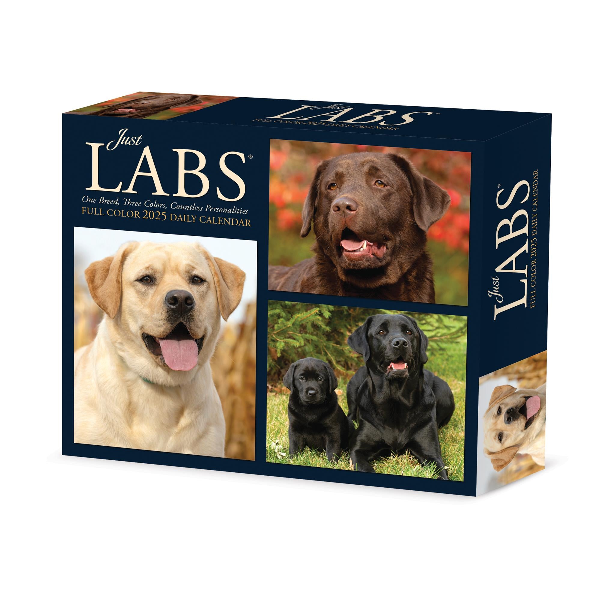 Just Labs Box 2025 Calendar - Online Exclusive