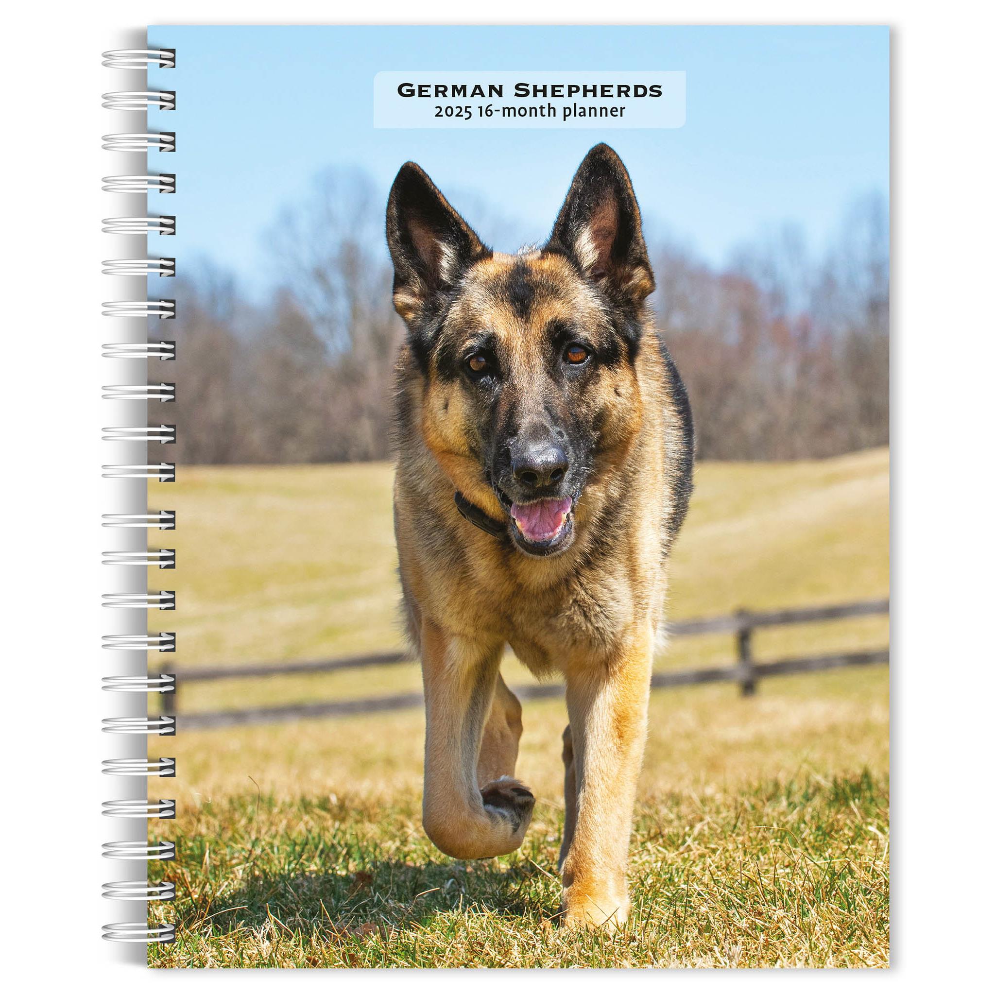 German Shepherds Engagement 2025 Calendar