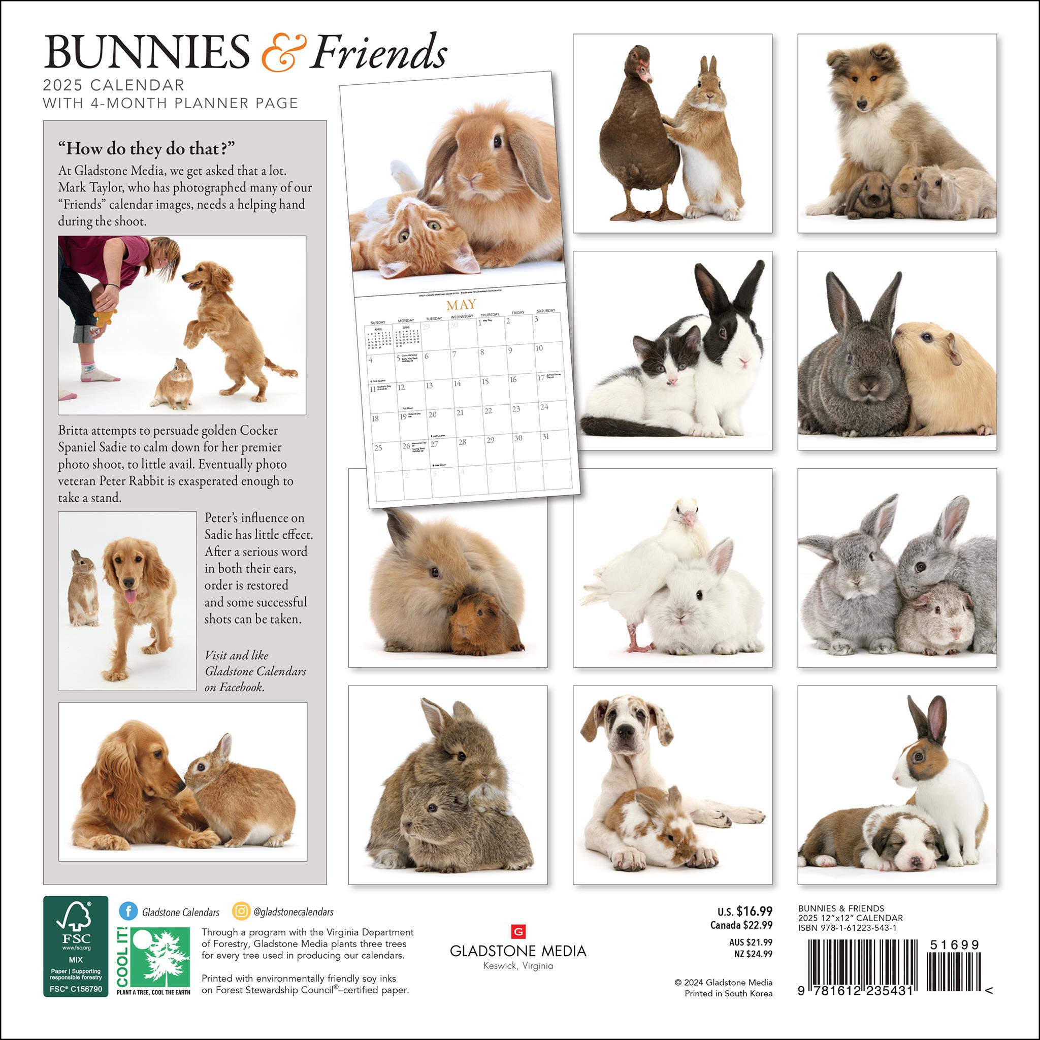 Bunnies And Friends Wall 2025 Calendar