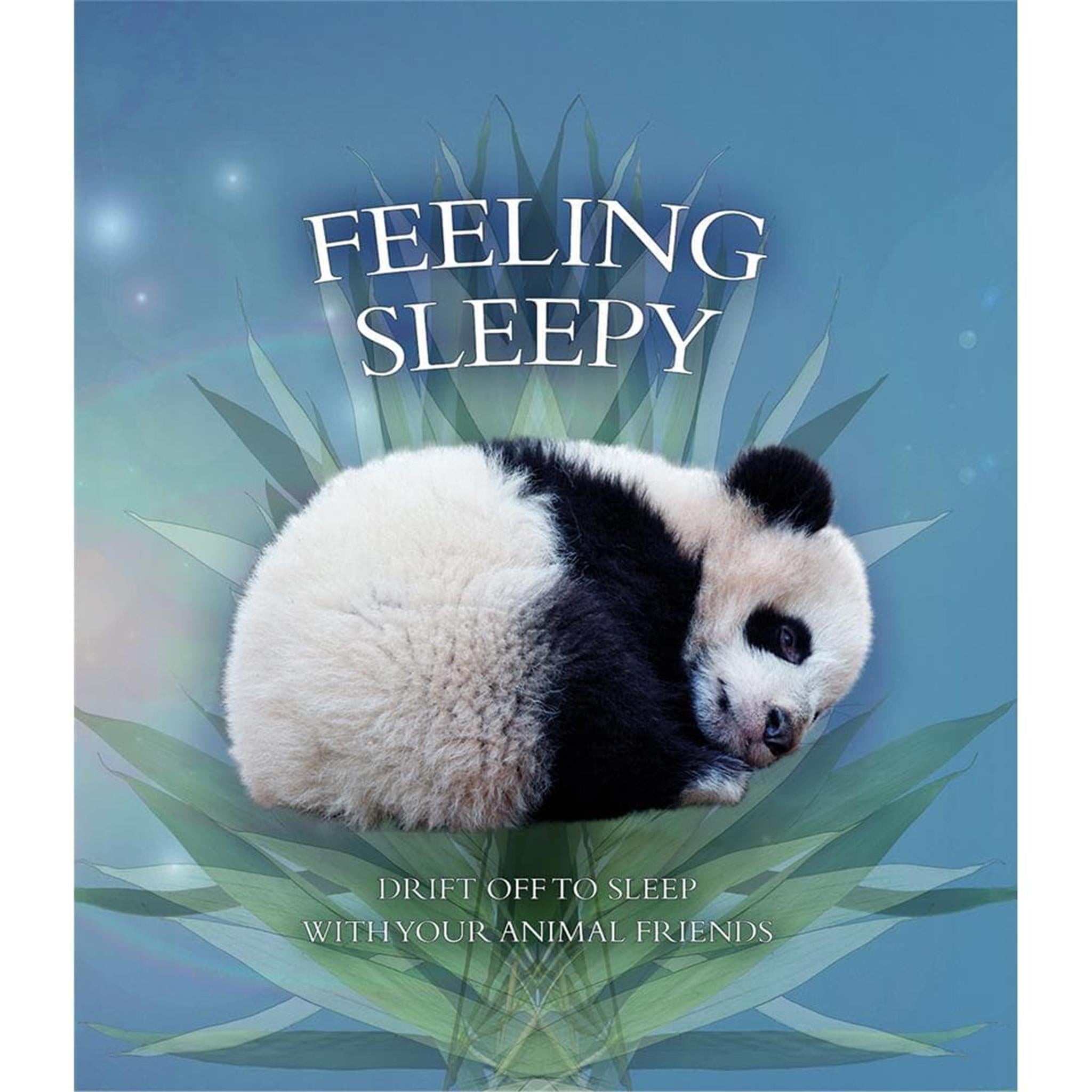 Feeling Sleepy Childrens Board Book