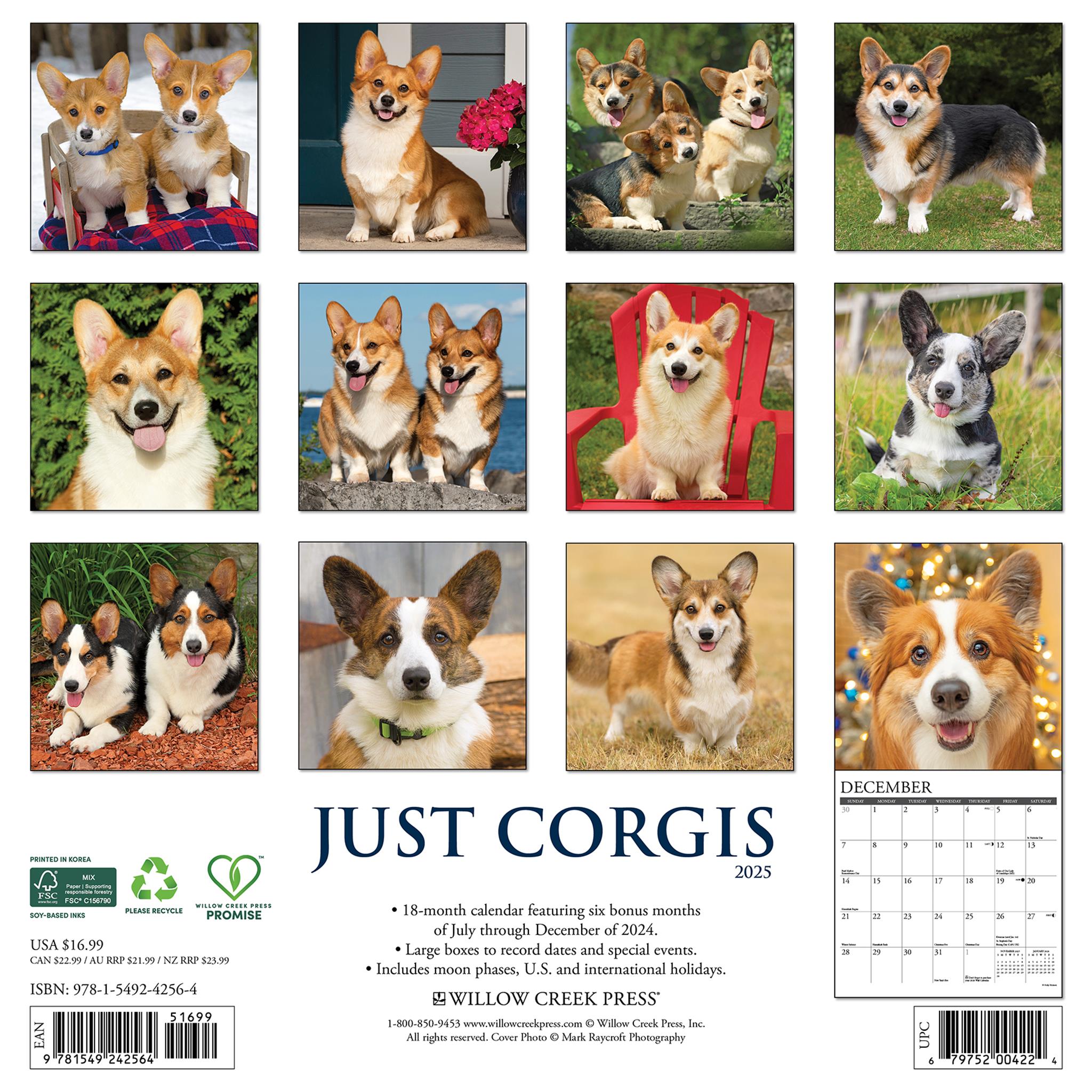 Just Corgis Wall 2025 Calendar