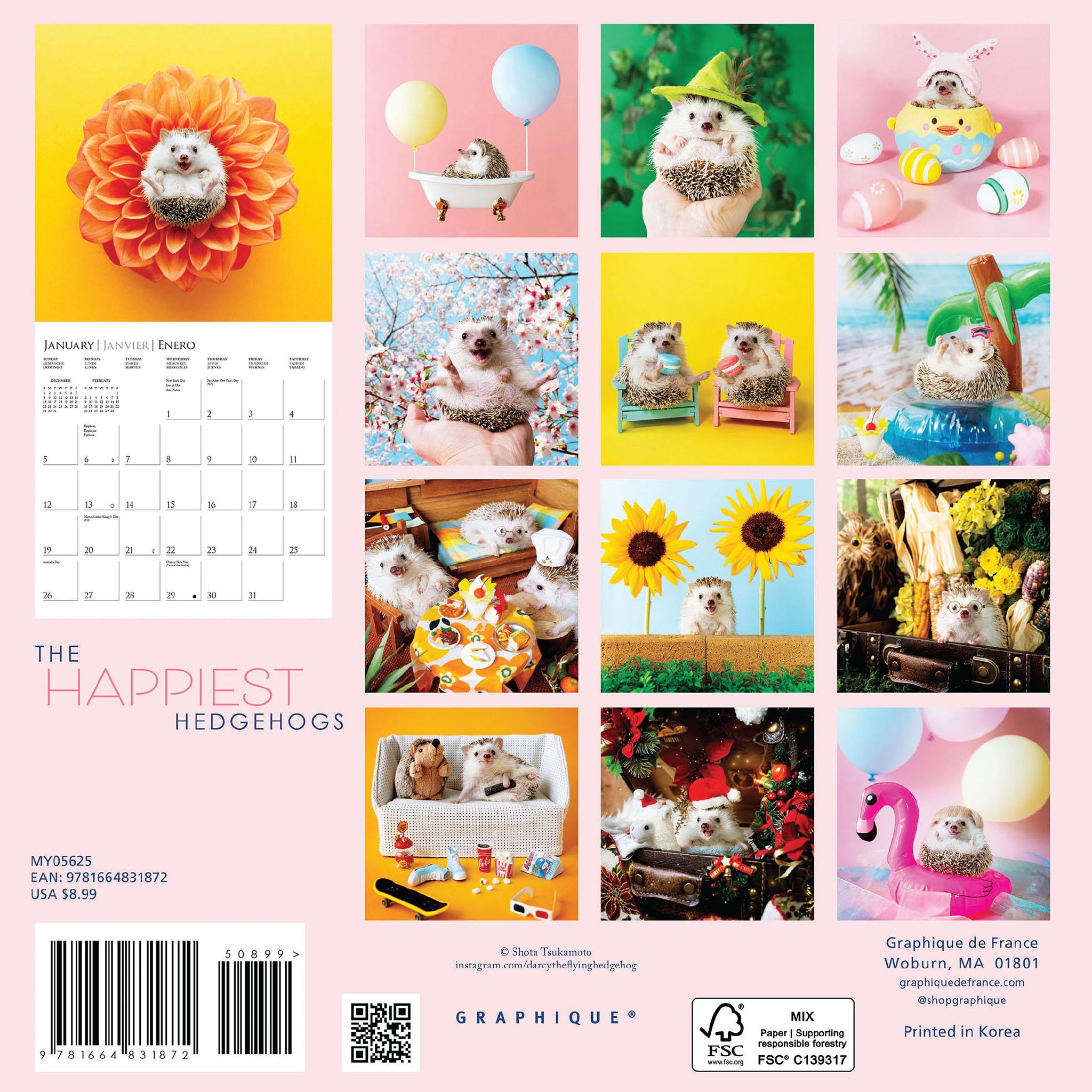 Happiest Hedgehogs Mini 2025 Calendar