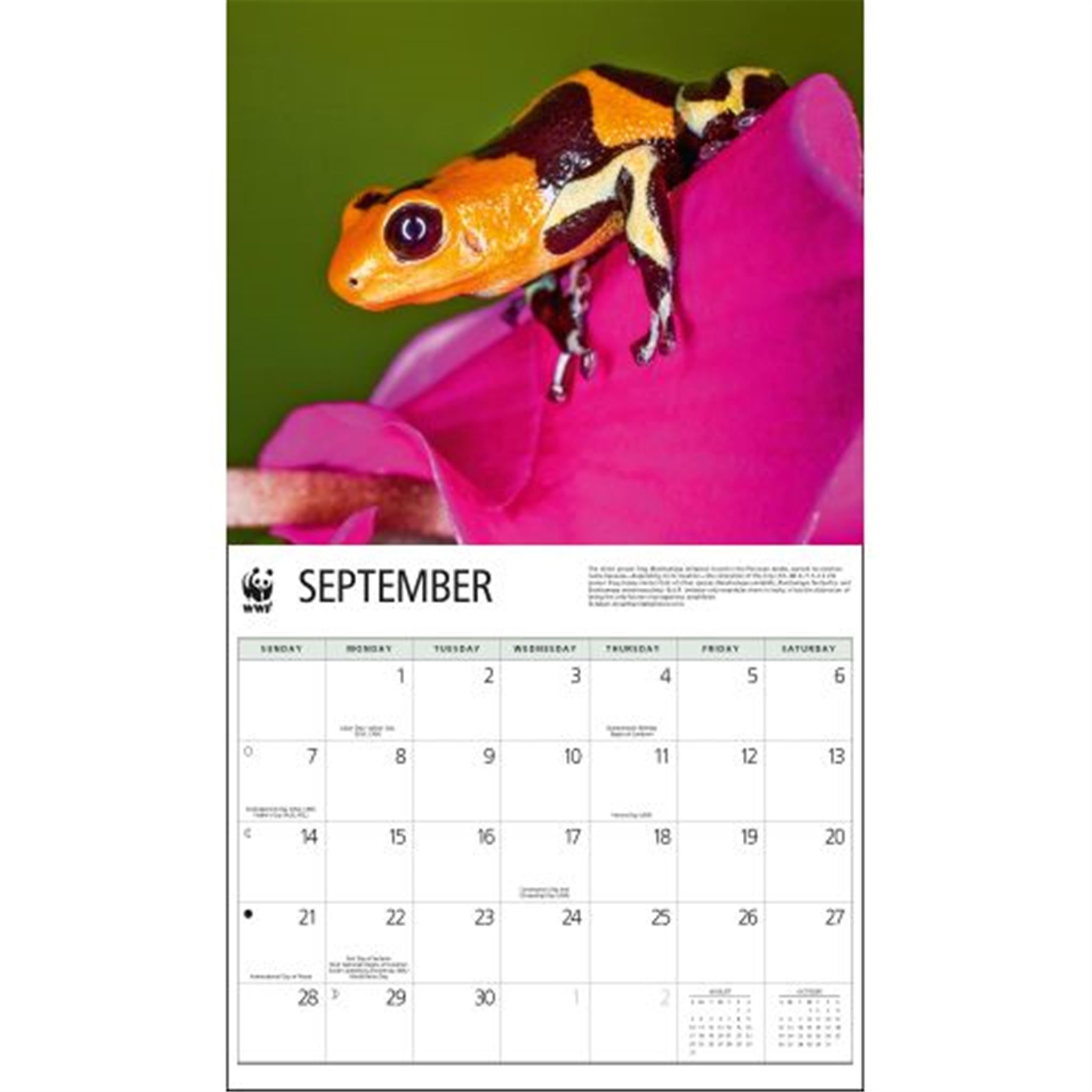 Frogs World Wildlife Fund Wall 2025 Calendar