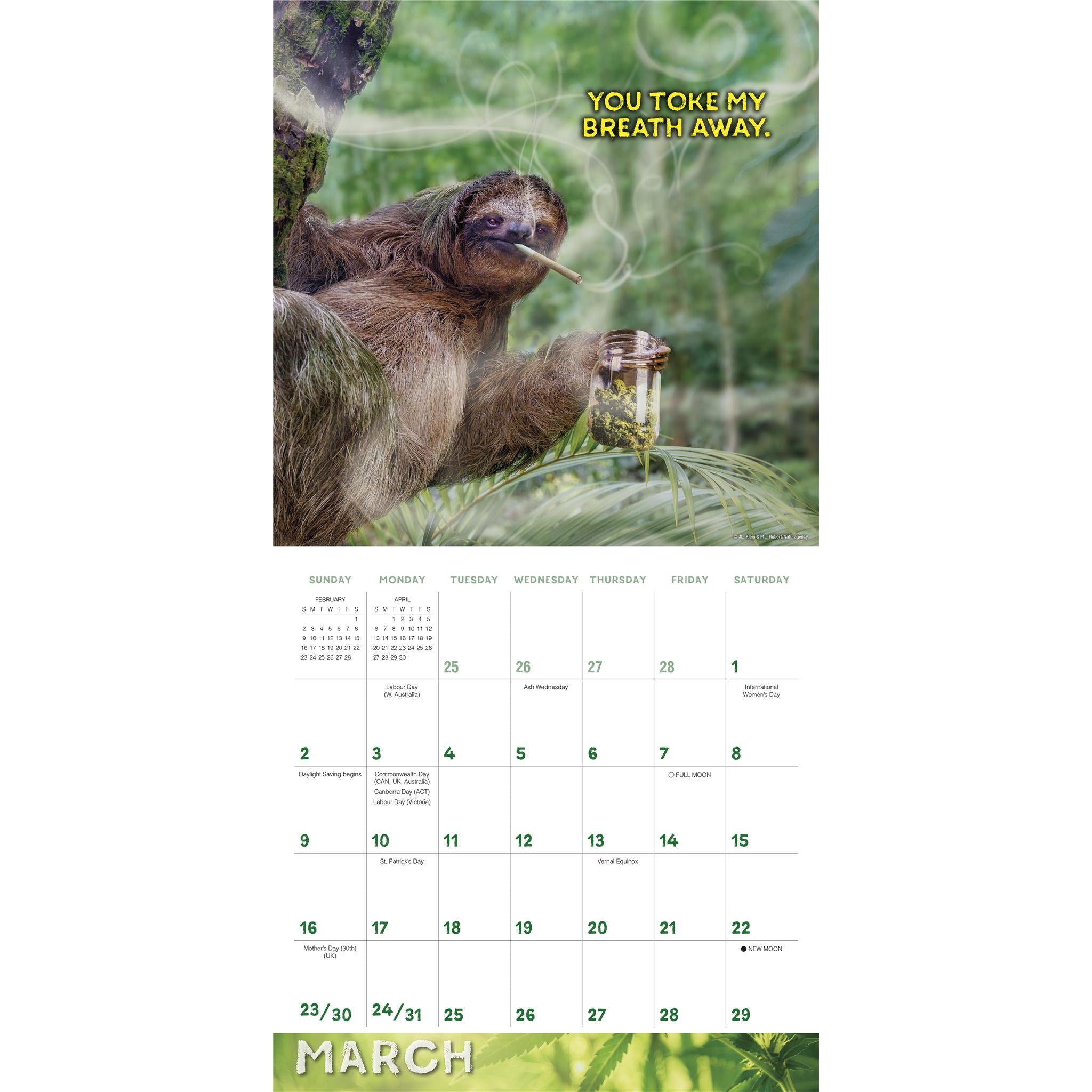 Stoner Sloths Wall 2025 Calendar