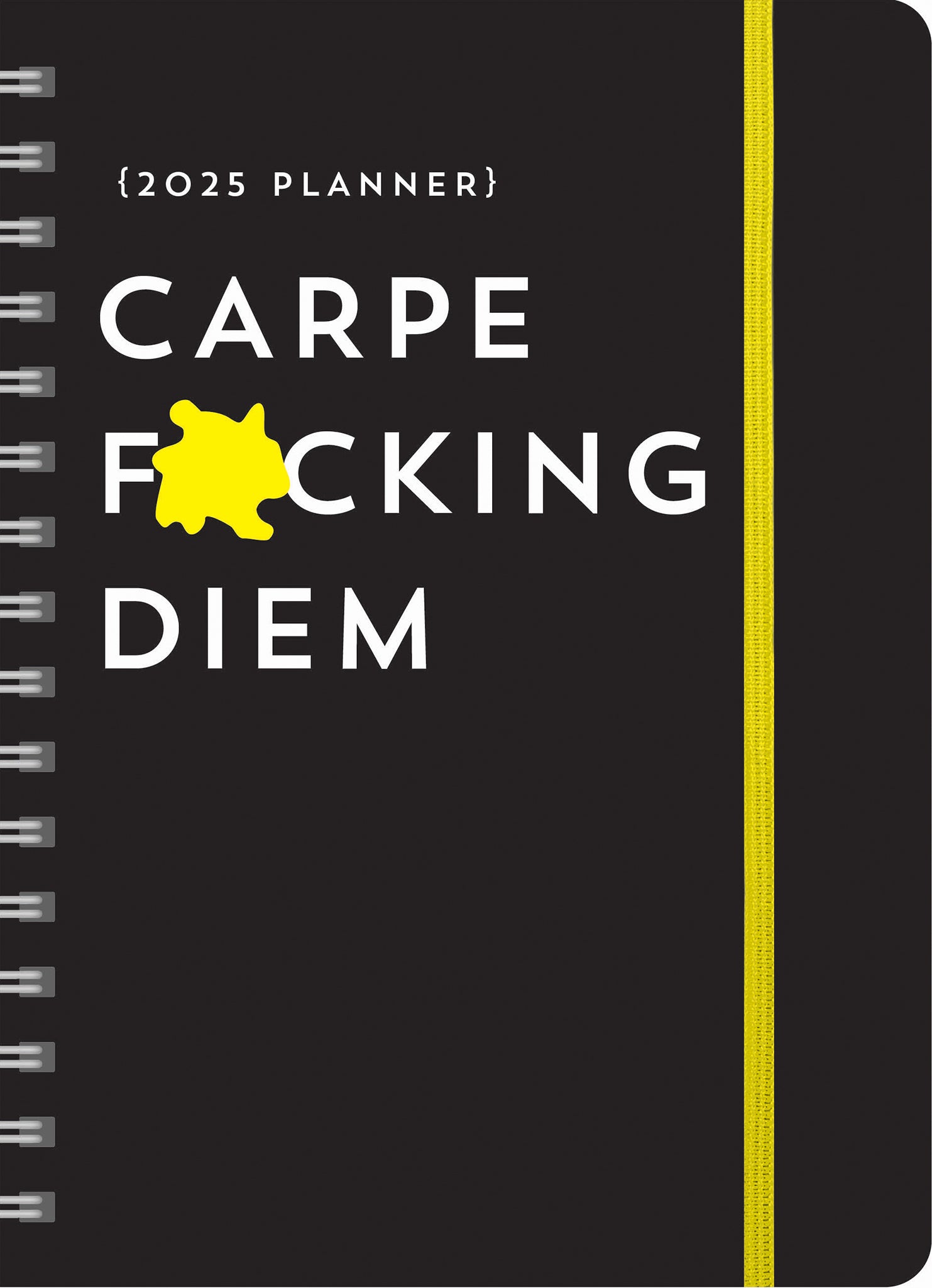 Carpe Fucking Diem Engagement 2025 Calendar