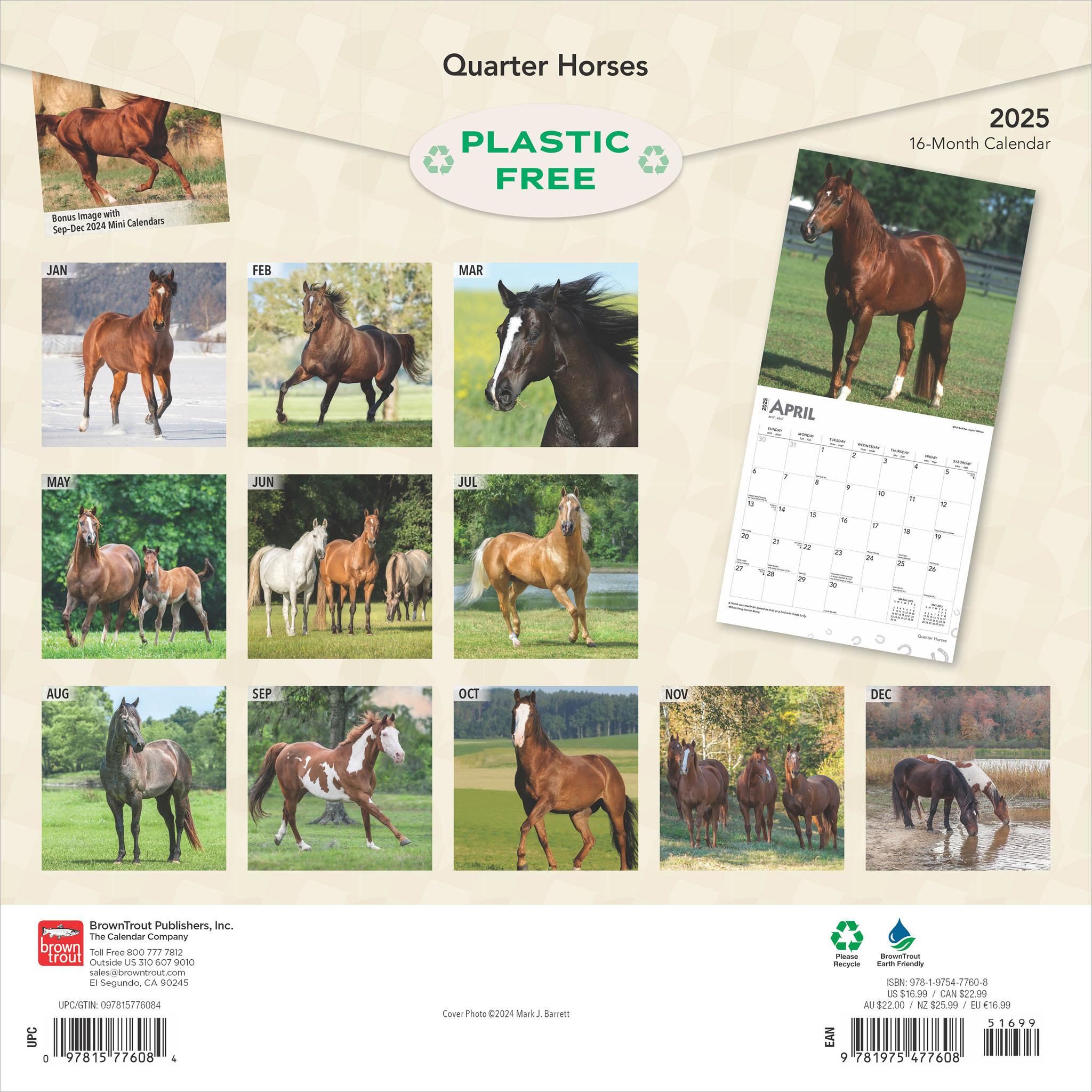 Quarter Horses Wall 2025 Calendar - Online Exclusive