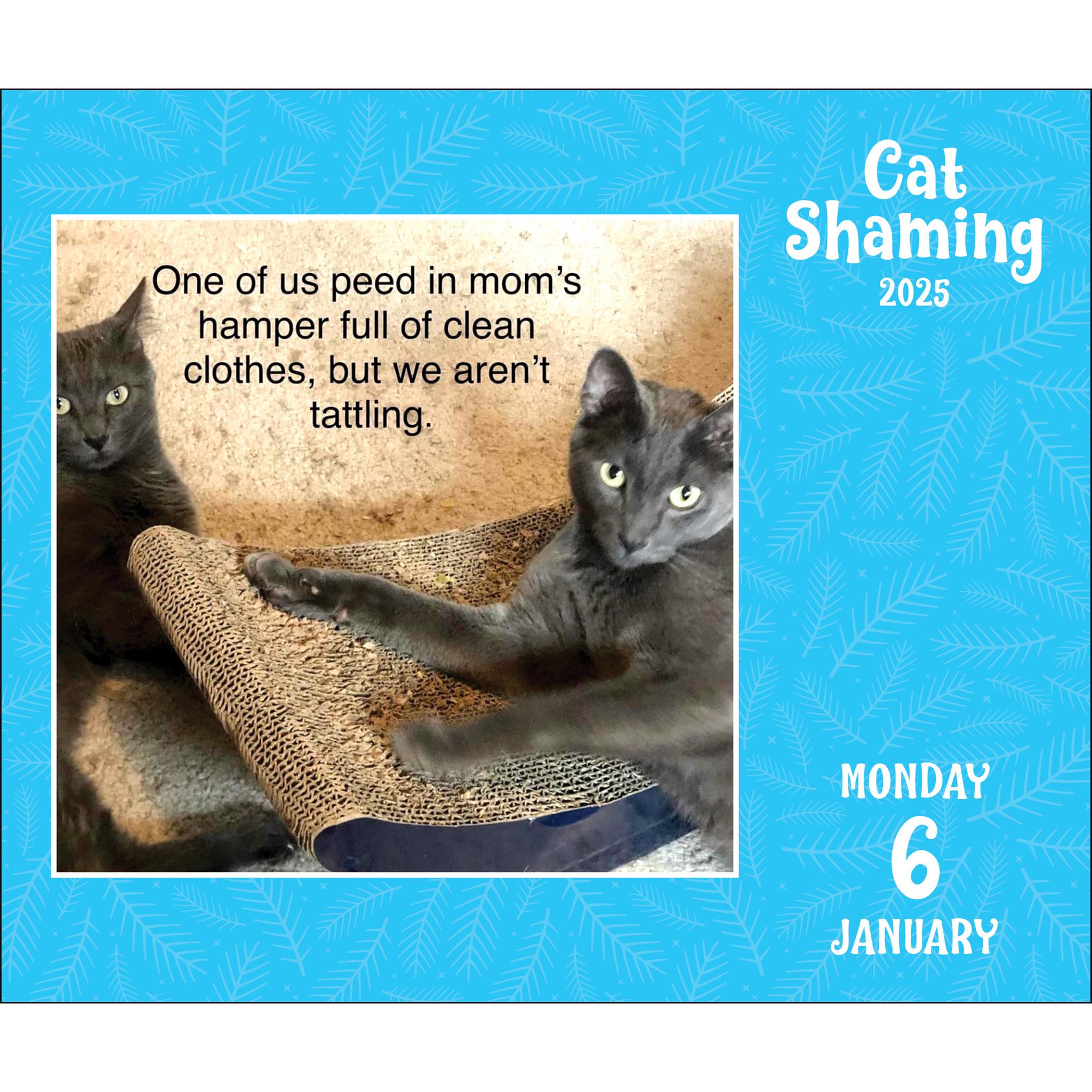 Cat Shaming Box 2025 Calendar