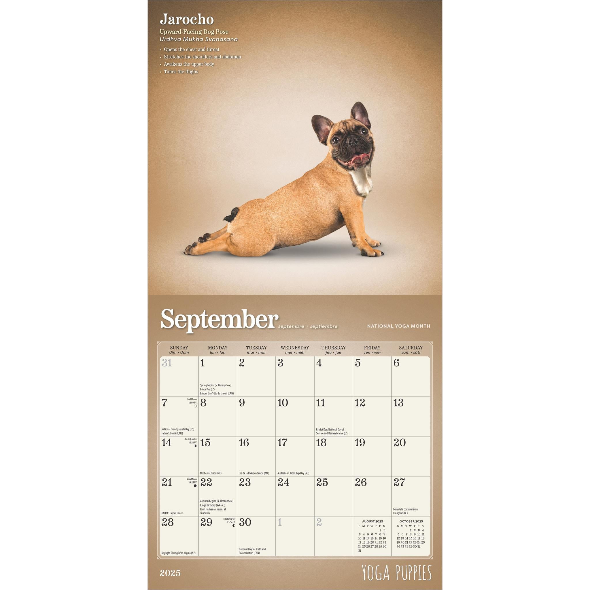 Yoga Puppies Mini 2025 Calendar