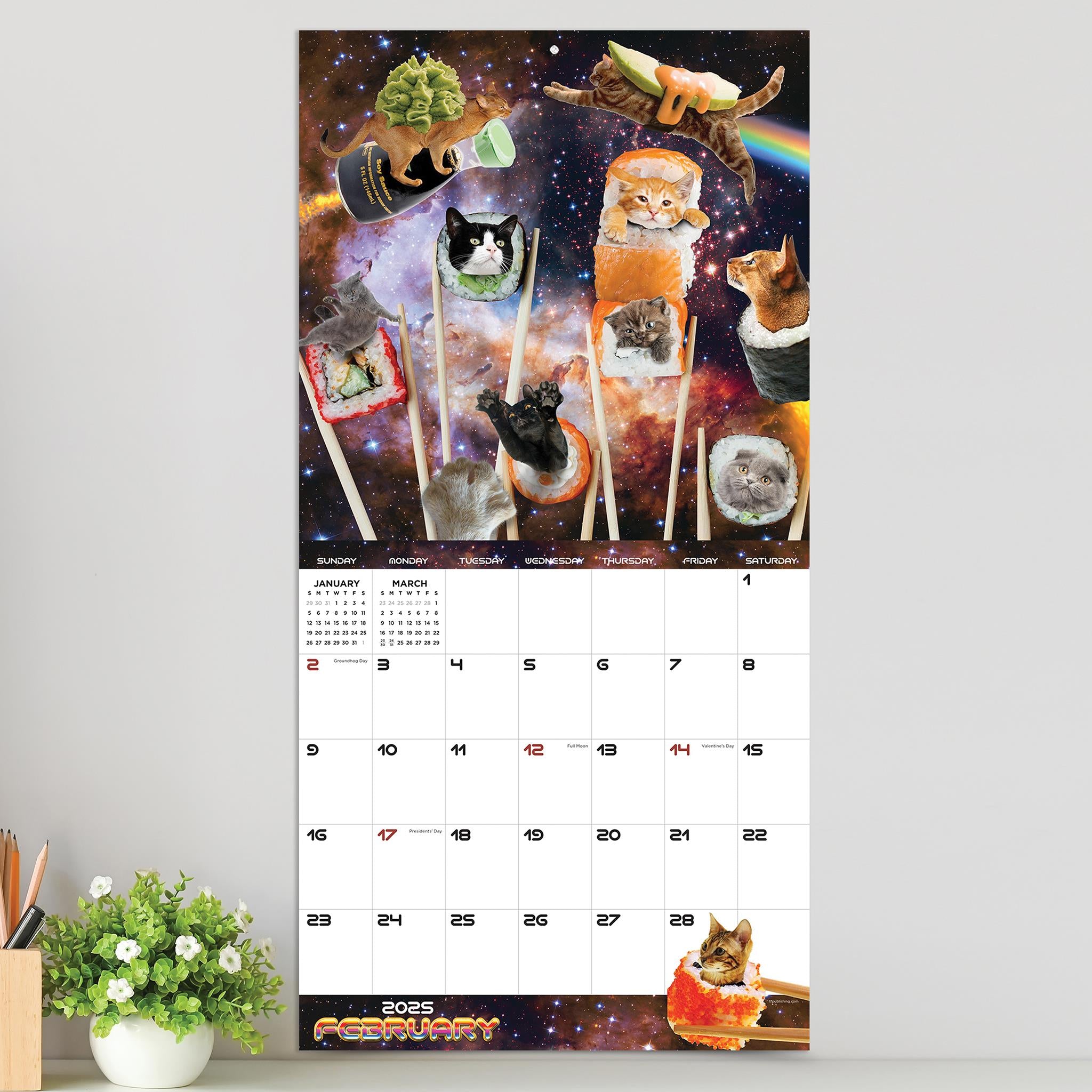 Space Cats Wall 2025 Calendar - Online Exclusive