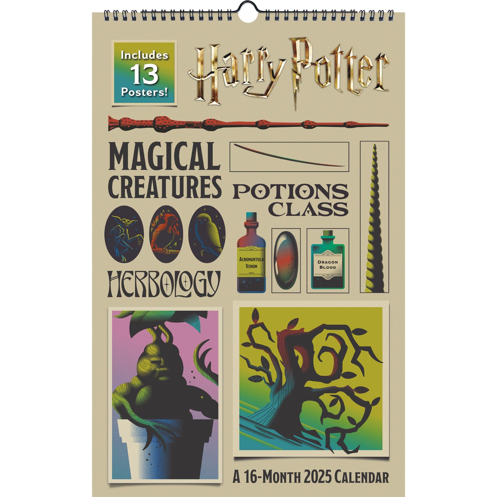 Harry Potter Poster 2025 Calendar