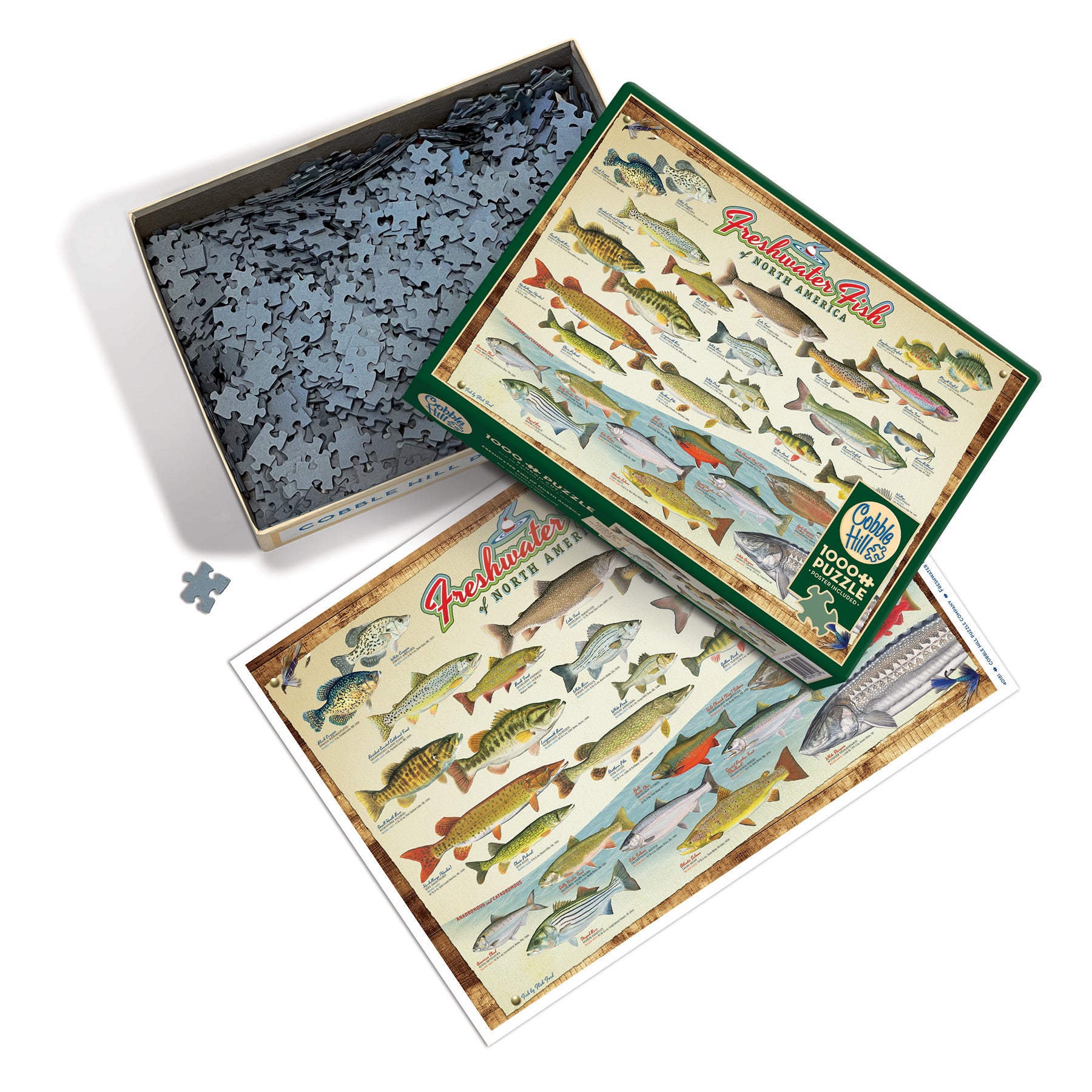 Freshwater Fish of North America 1000 Piece Puzzle - Online Exclusive