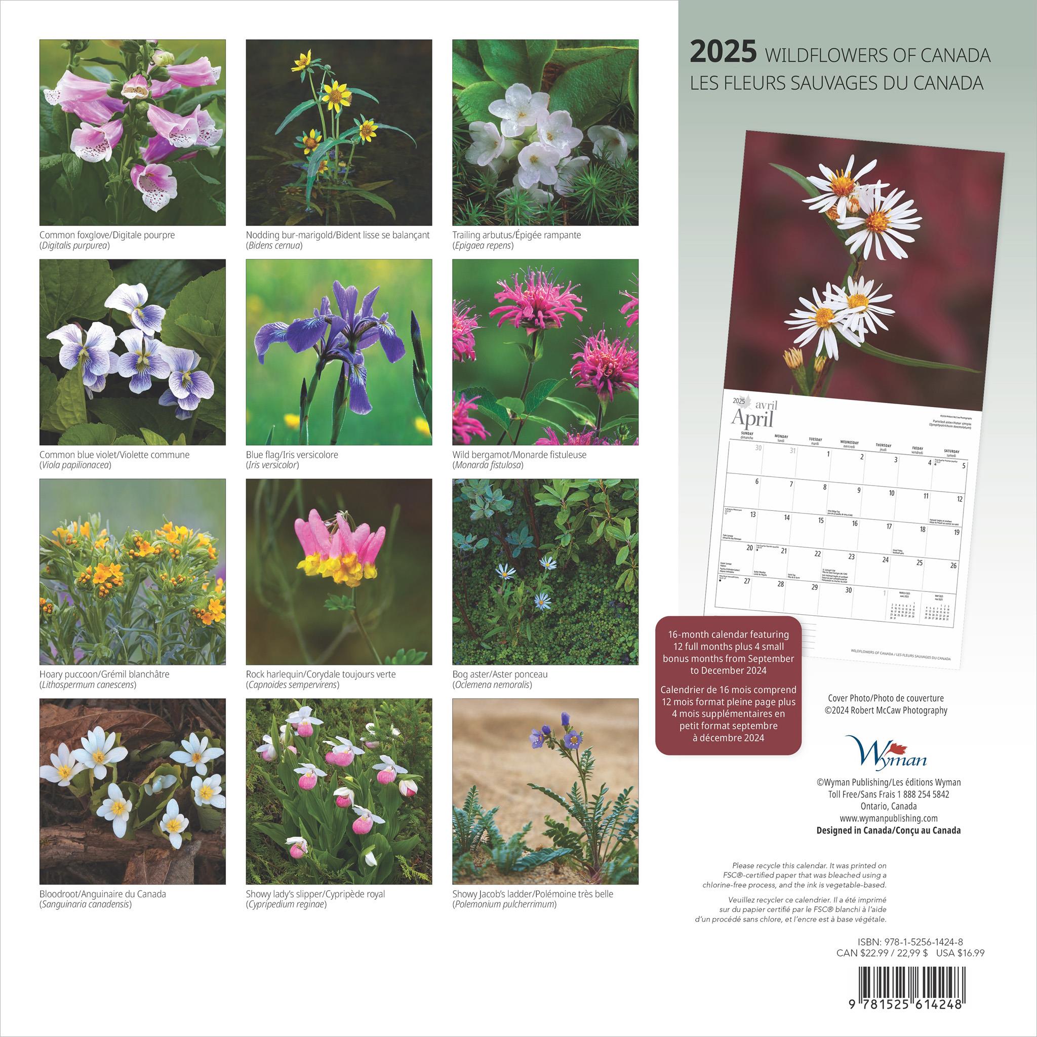 Wildflowers Of Canada Wall 2025 Calendar