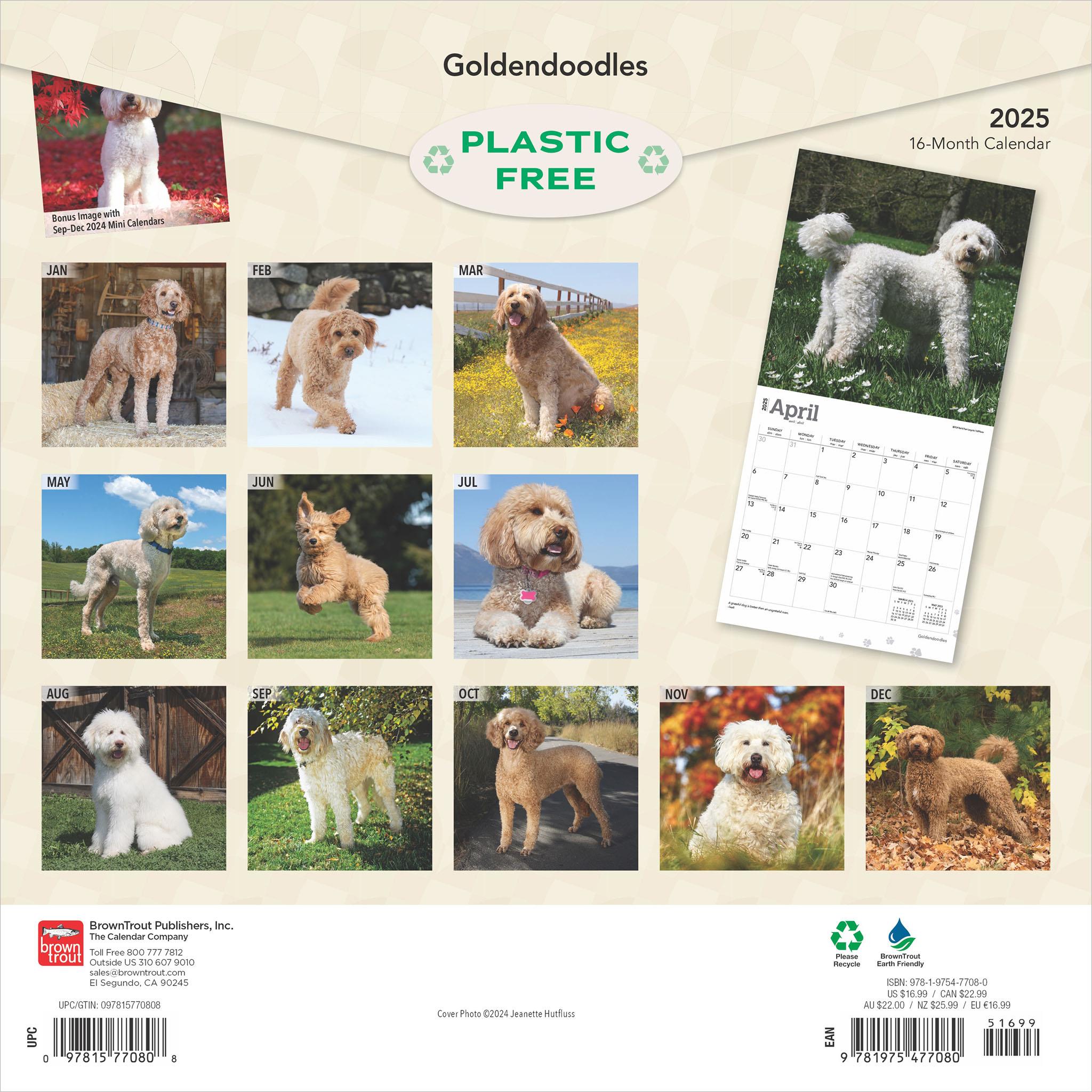 Goldendoodles Wall 2025 Calendar