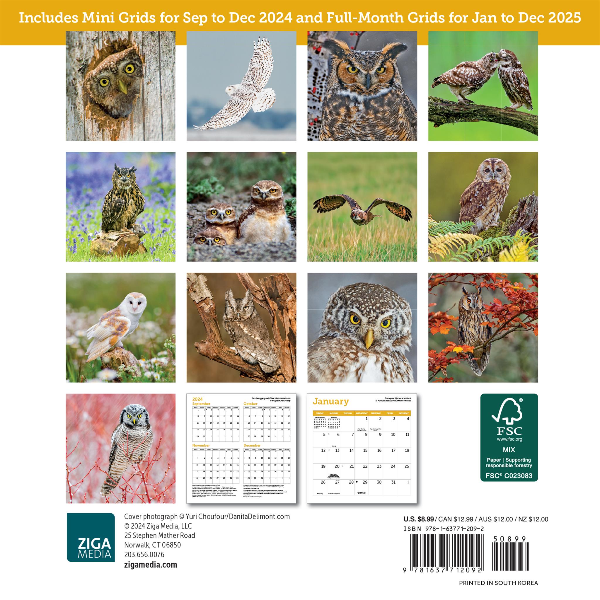 Owls Mini 2025 Calendar