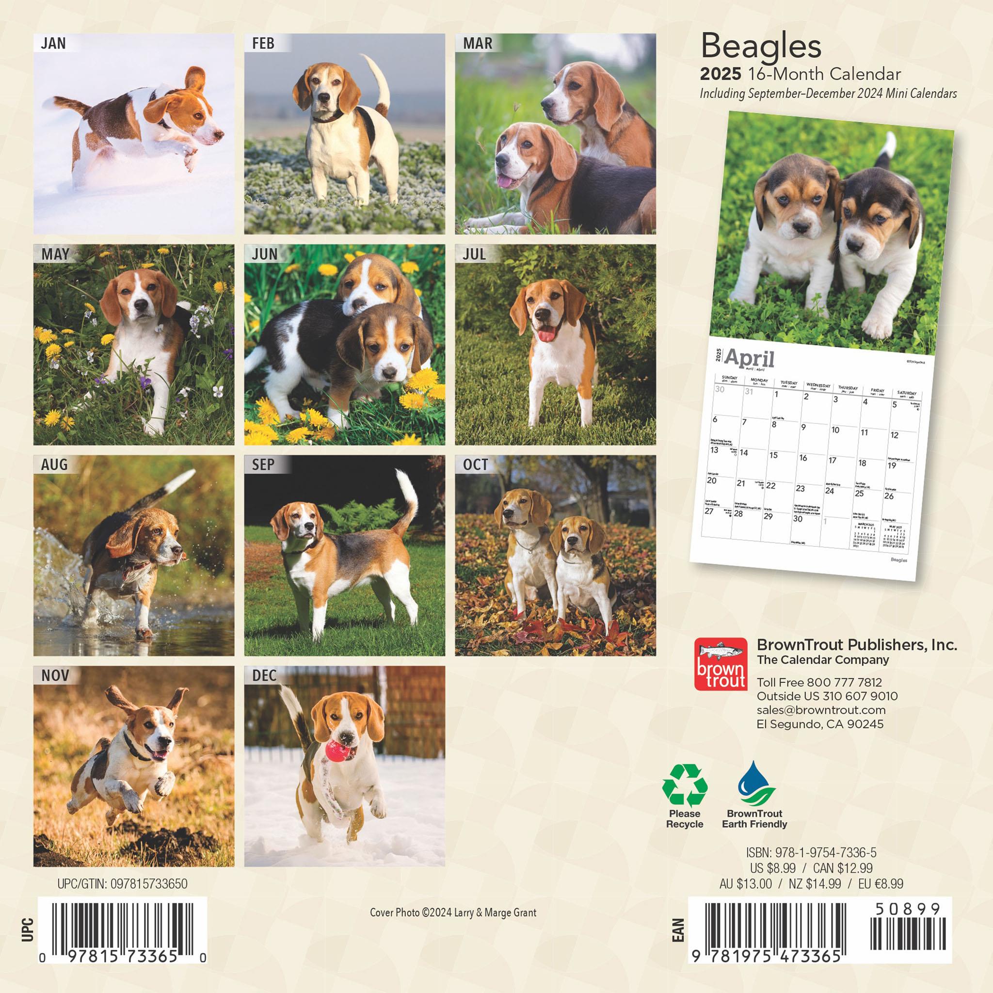 Beagles Mini 2025 Calendar