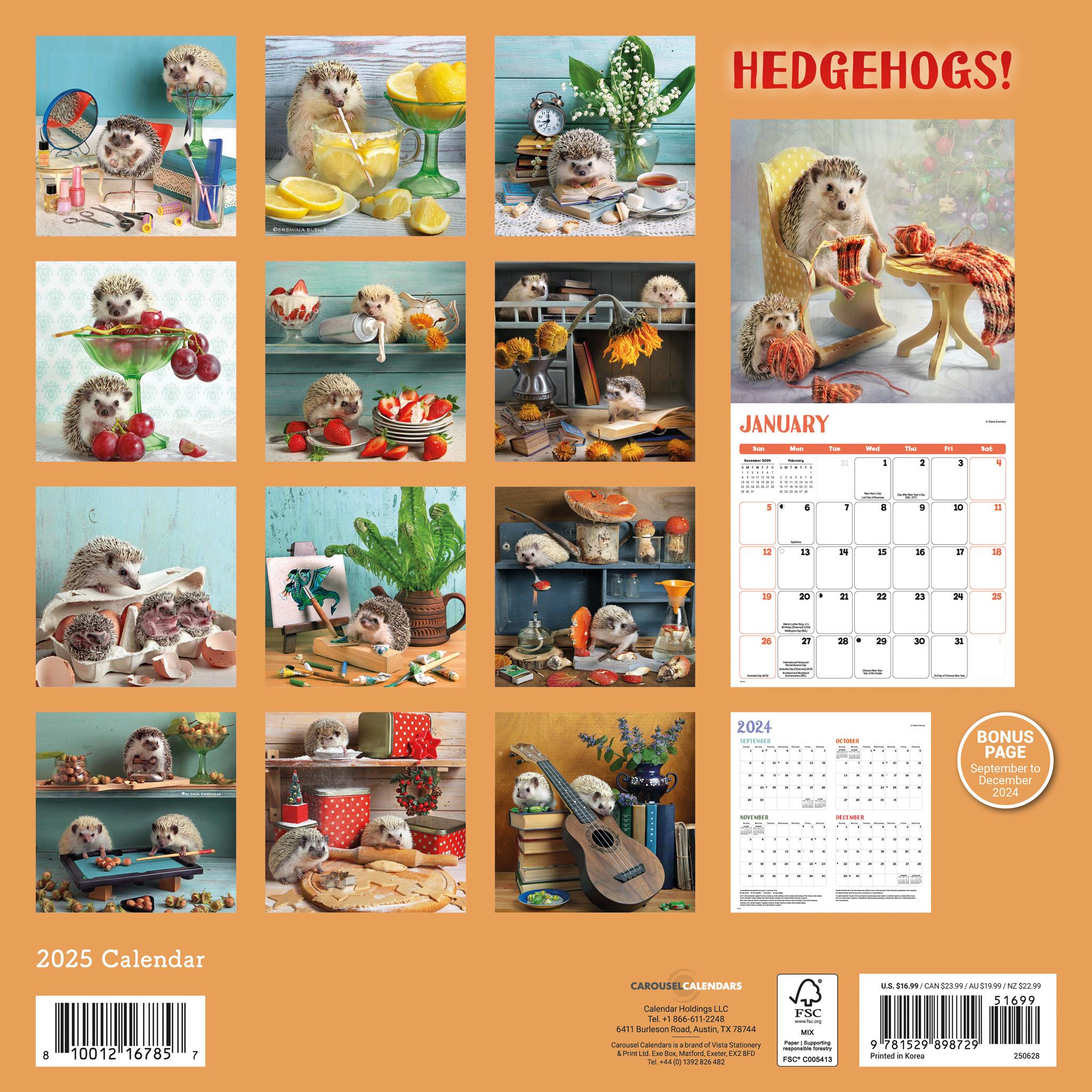 Hedgehogs Wall 2025 Calendar